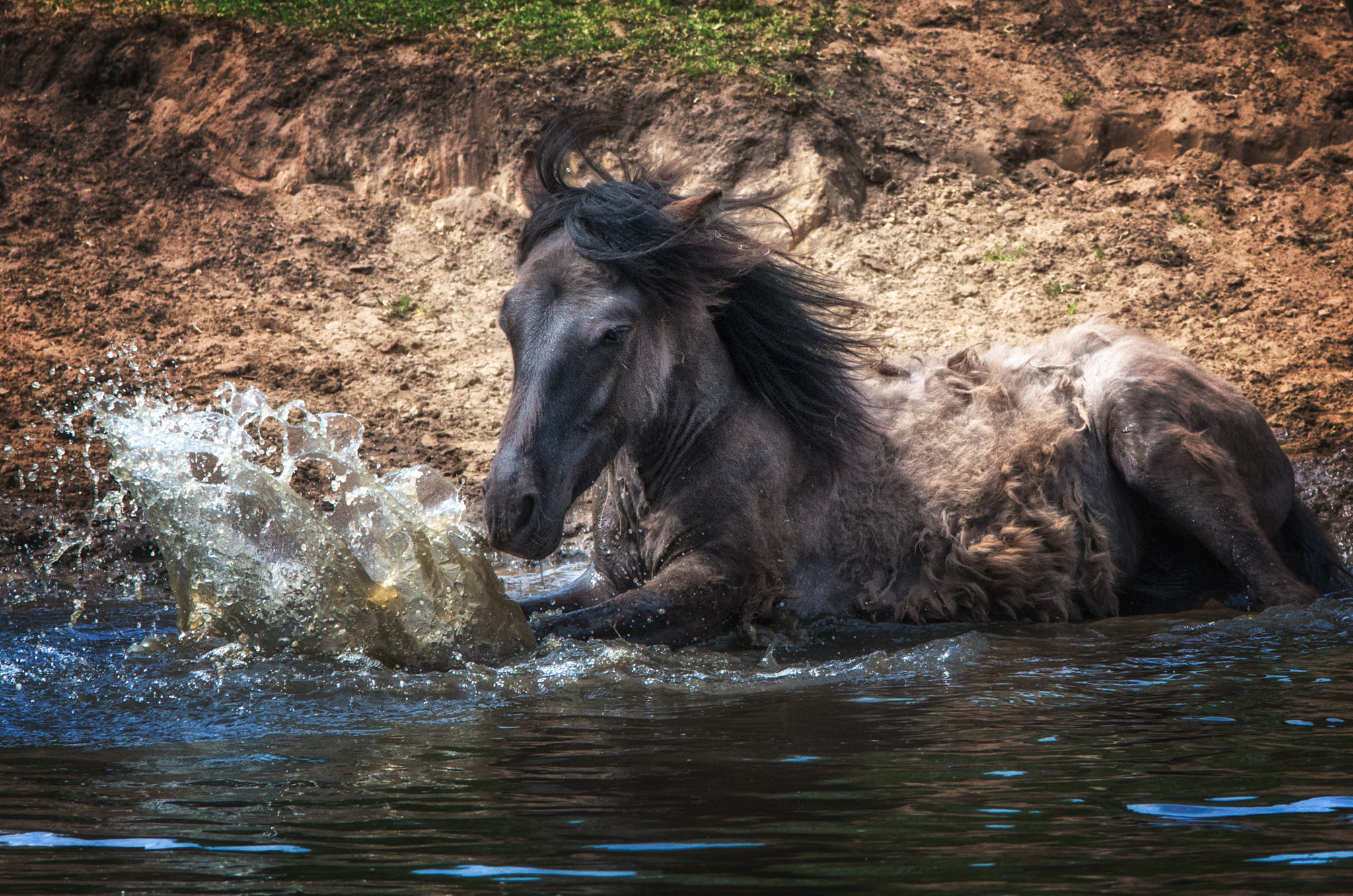 Pentax K-5 II sample photo. Horse in water photography
