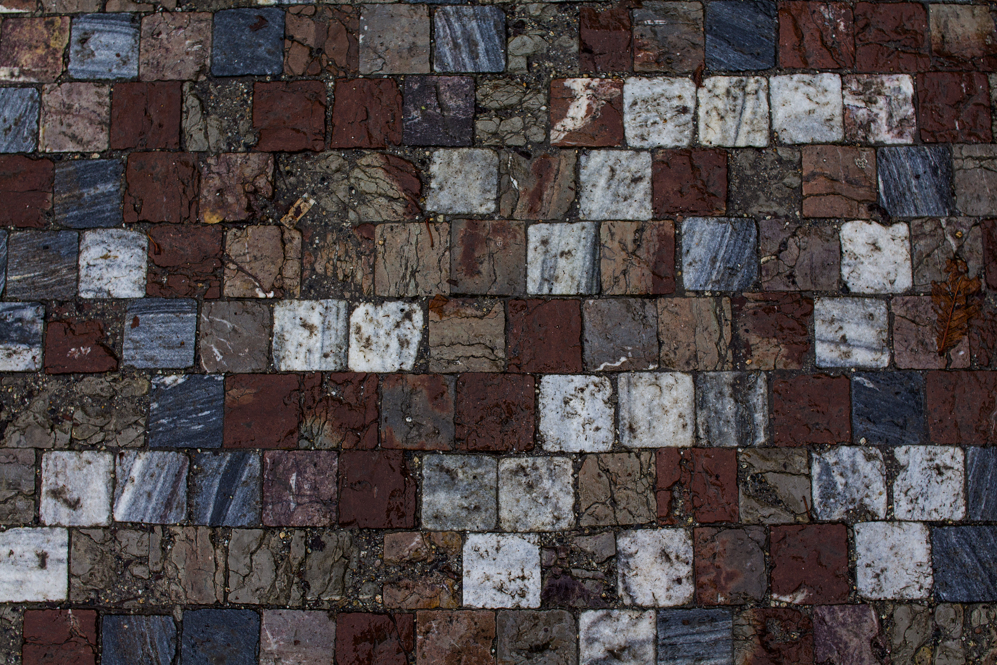 Sigma 30mm F1.4 EX DC HSM sample photo. Multi-color bricks ground photography