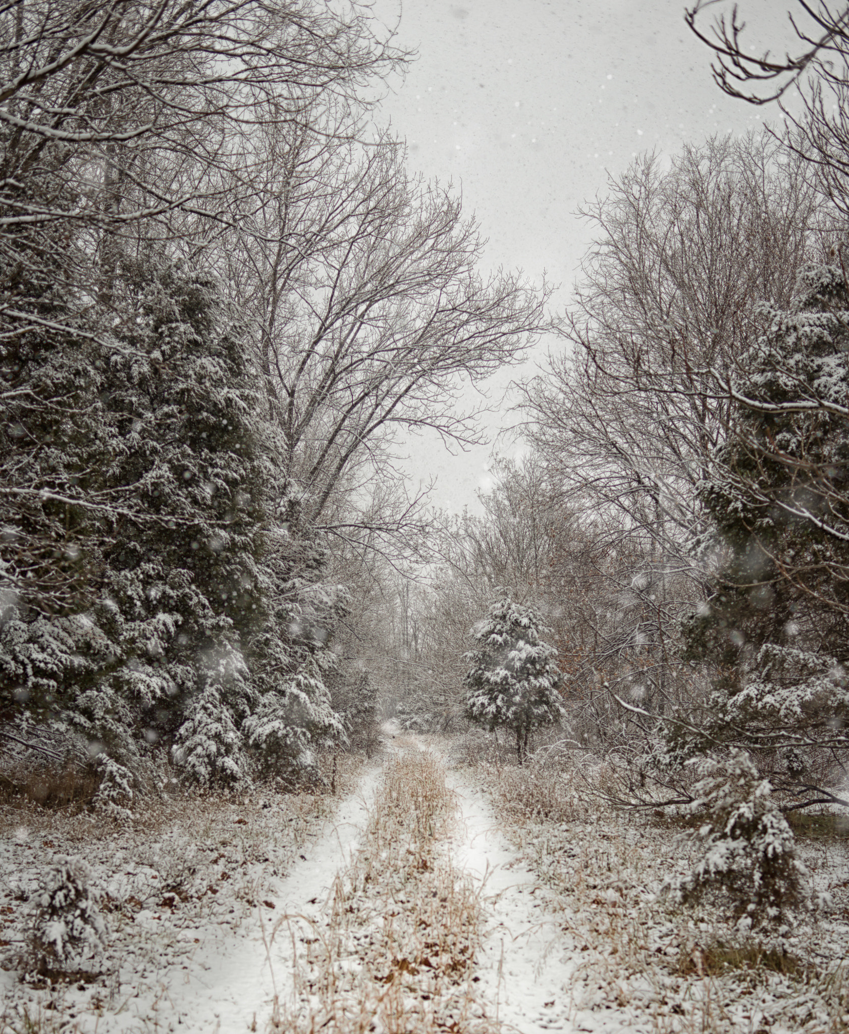 Canon EOS 6D sample photo. Backroad blizzard. photography
