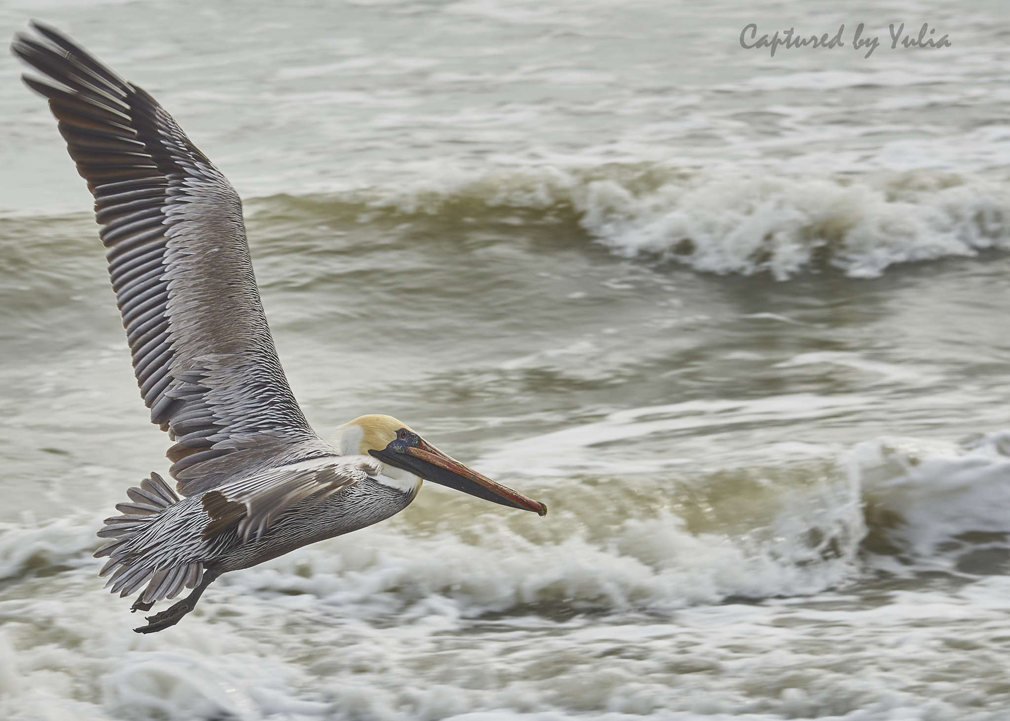 Nikon AF-S Nikkor 24-120mm F4G ED VR sample photo. Atlantic photography