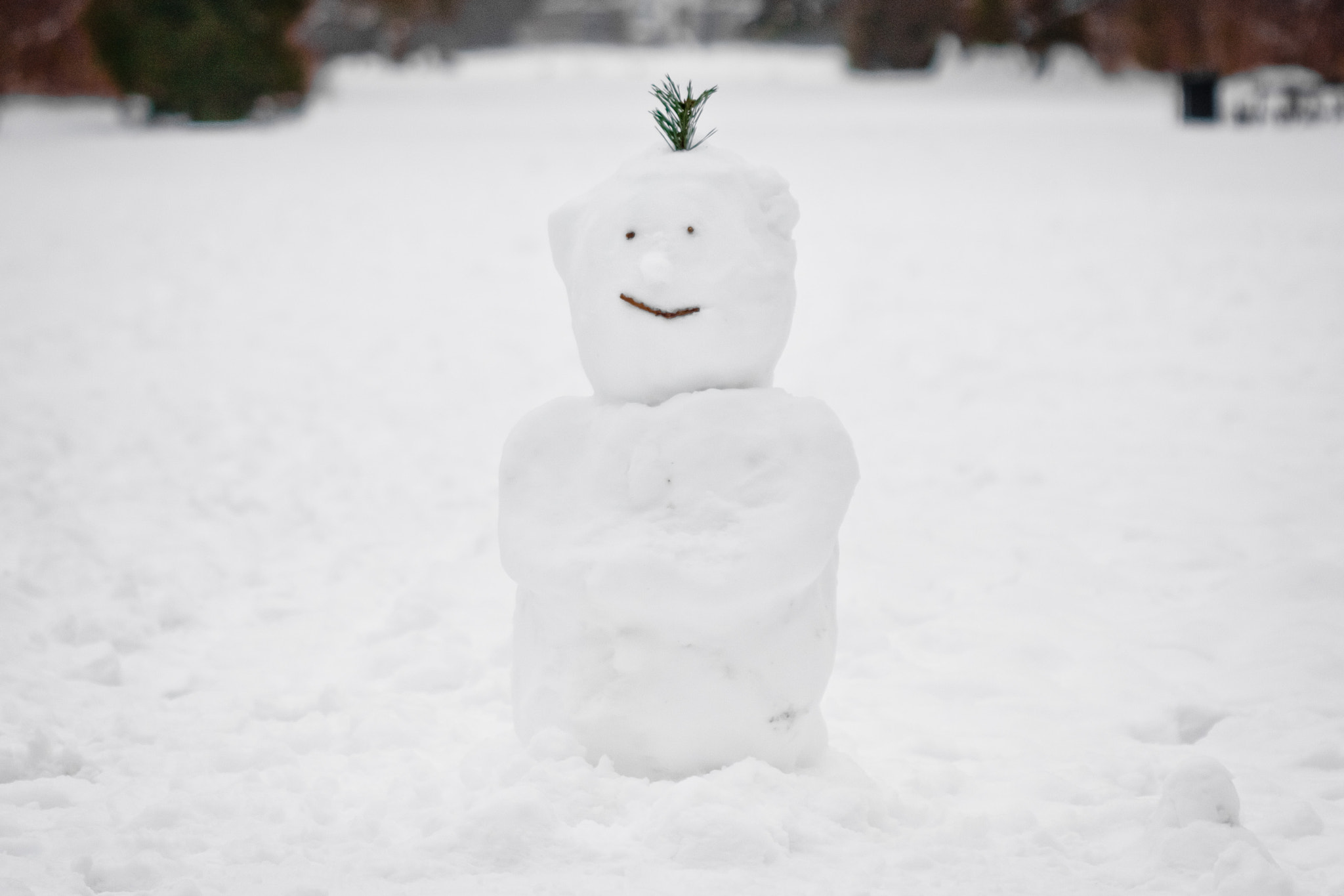 Canon EF 100mm F2.8 Macro USM sample photo. Snowman photography