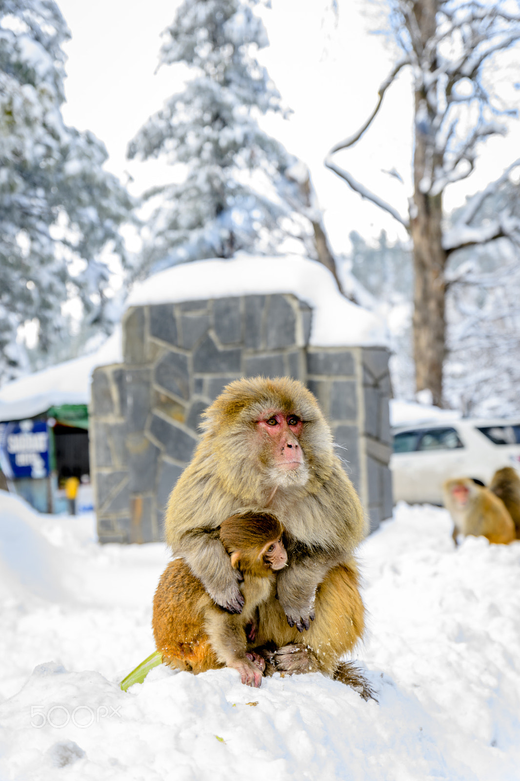 Nikon D500 sample photo. Mother and child photography