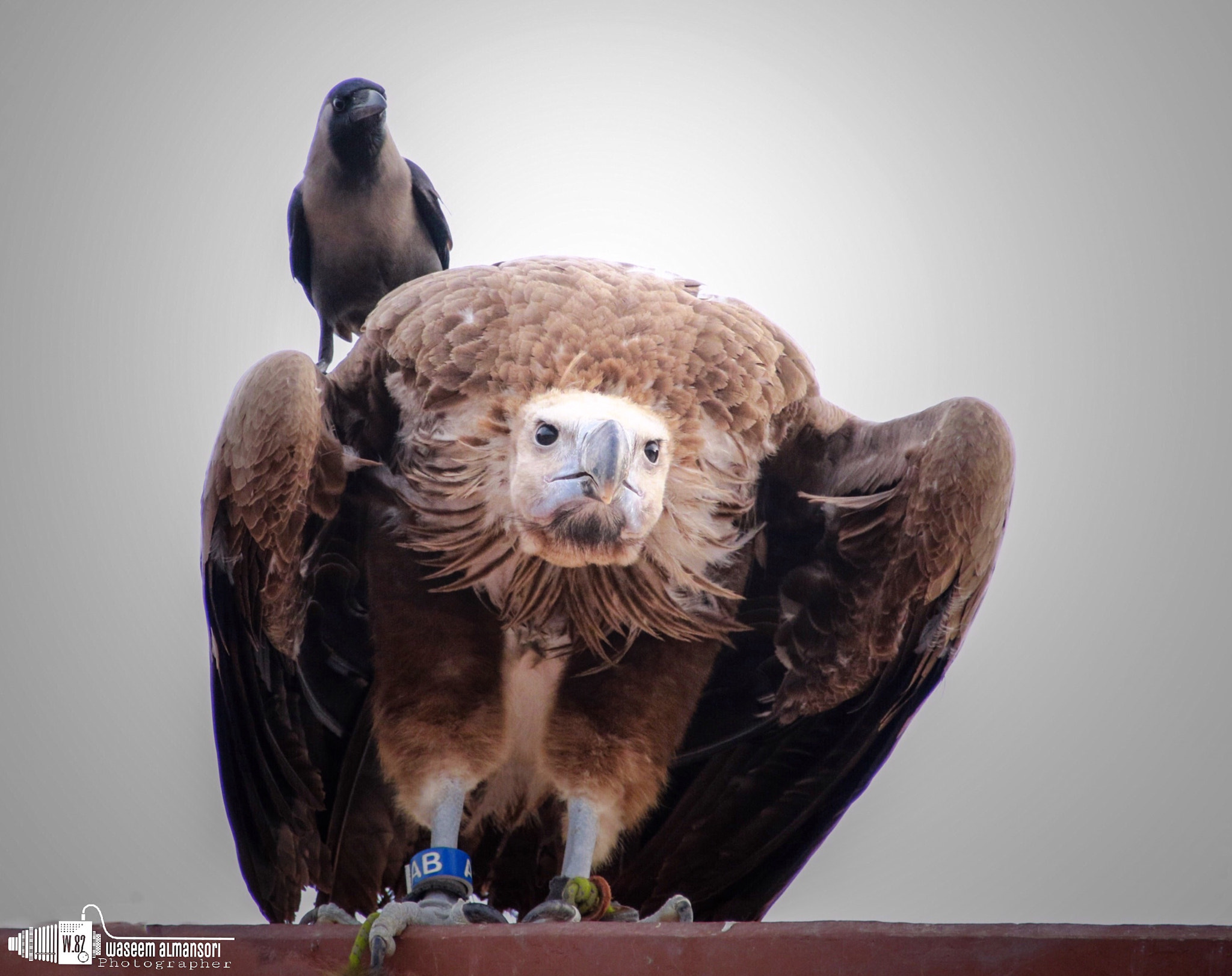 Canon EF 75-300mm F4.0-5.6 IS USM sample photo. Uae photography