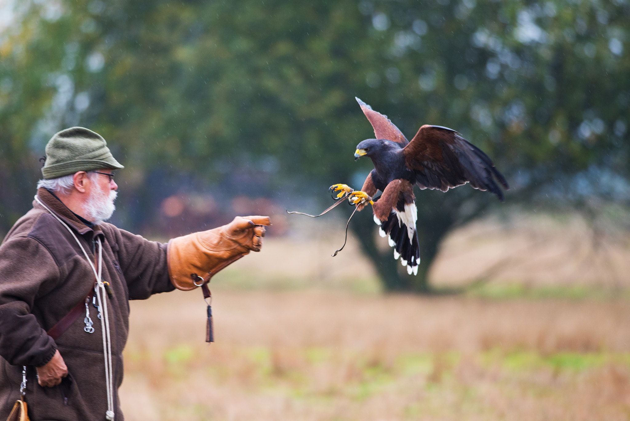 Nikon D810 sample photo. Harrishawk photography