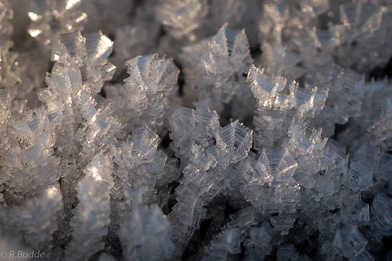 Sony ILCA-77M2 sample photo. Crystals photography