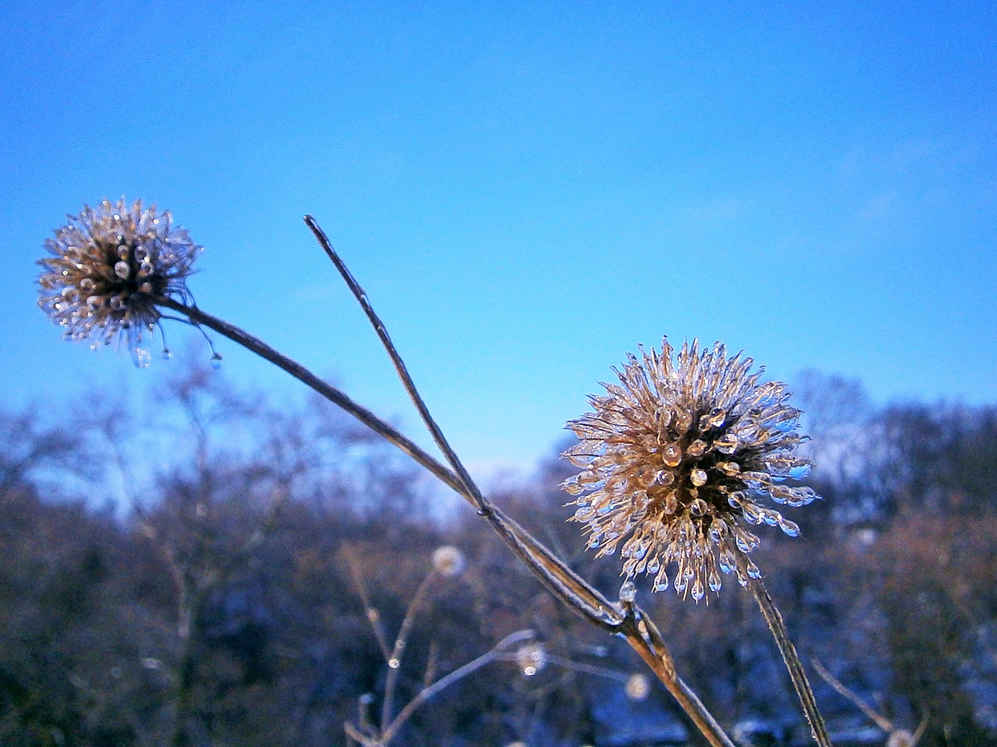 Olympus VG120,D705 sample photo. Зима-художник / winter artist photography