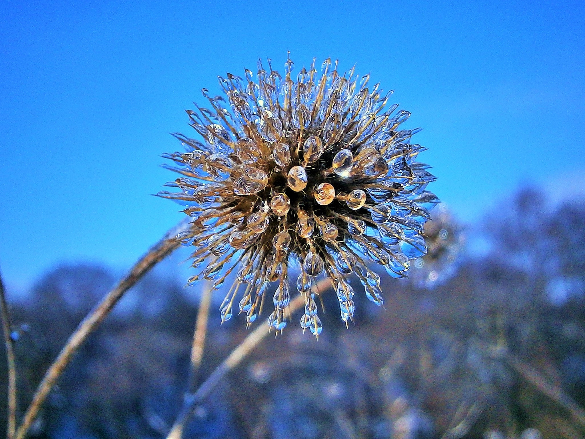 Olympus VG120,D705 sample photo. Зима-художник / winter artist photography