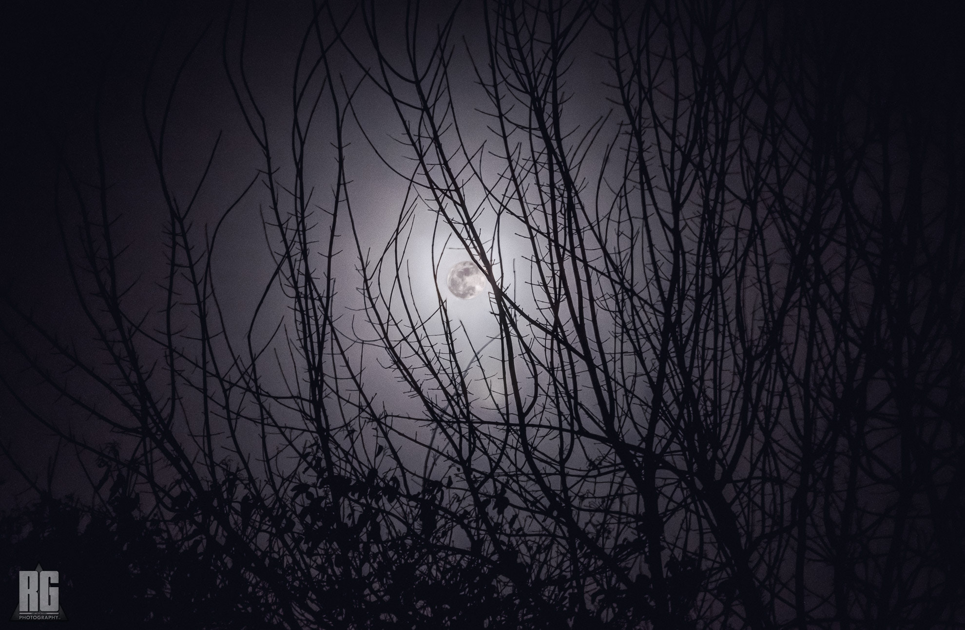 Nikon D3200 sample photo. A loners companion photography