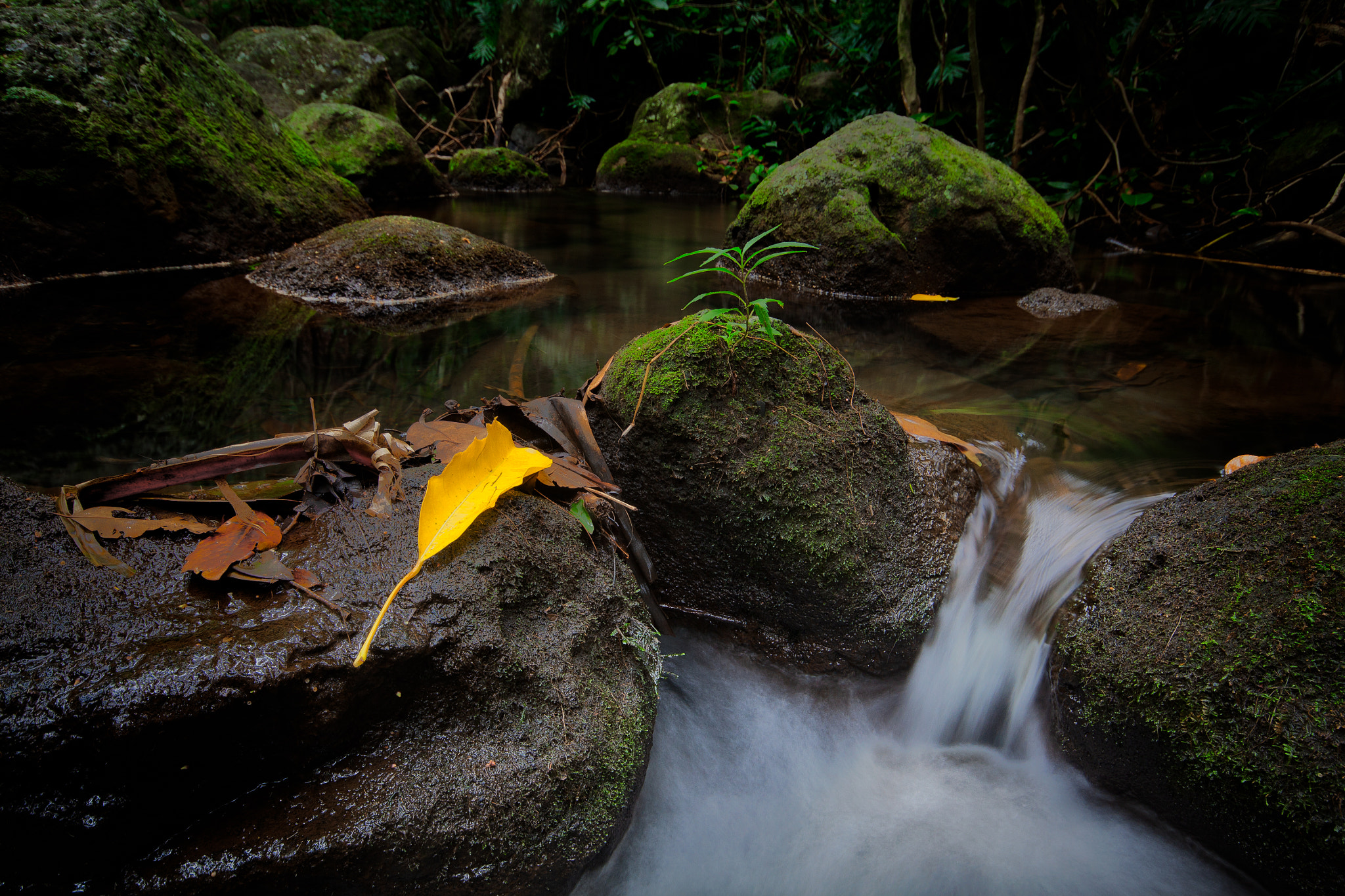 Canon EOS 50D + Sigma 10-20mm F4-5.6 EX DC HSM sample photo. Passing through photography