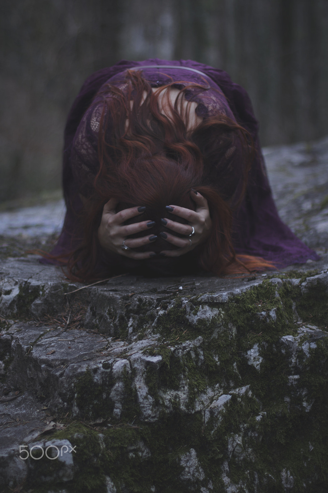 Canon EOS 760D (EOS Rebel T6s / EOS 8000D) + Canon EF 50mm F1.4 USM sample photo. Lily in the woods photography