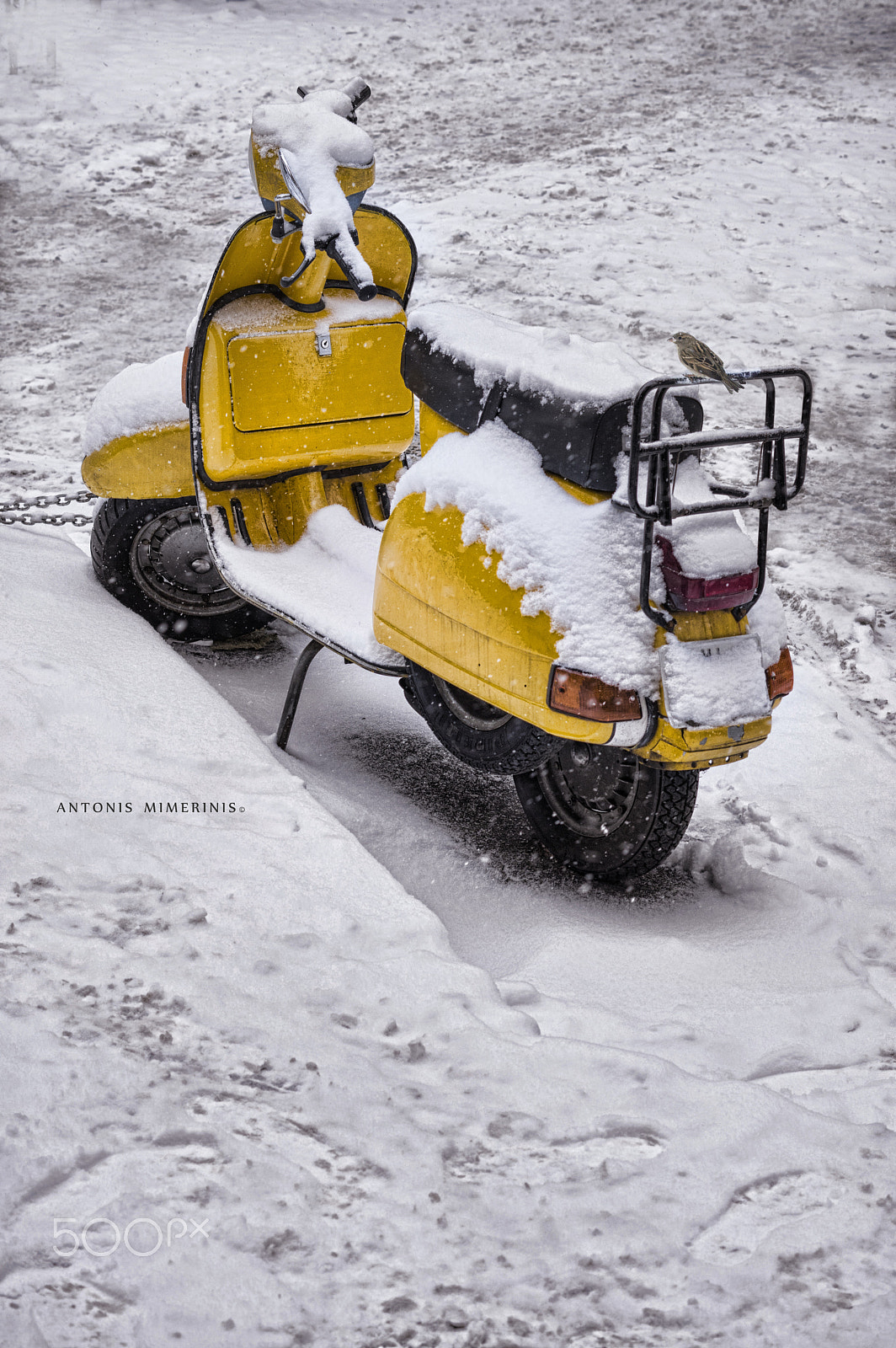 Pentax K-3 sample photo. Feathered rider photography