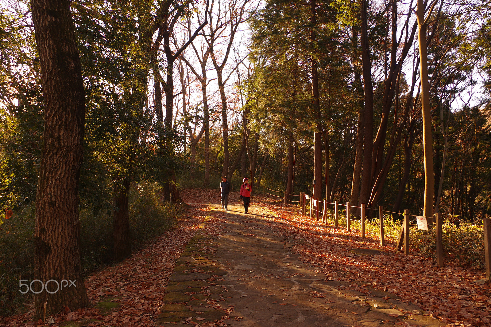 smc PENTAX-DA L 18-55mm F3.5-5.6 sample photo. A couple in morning light photography