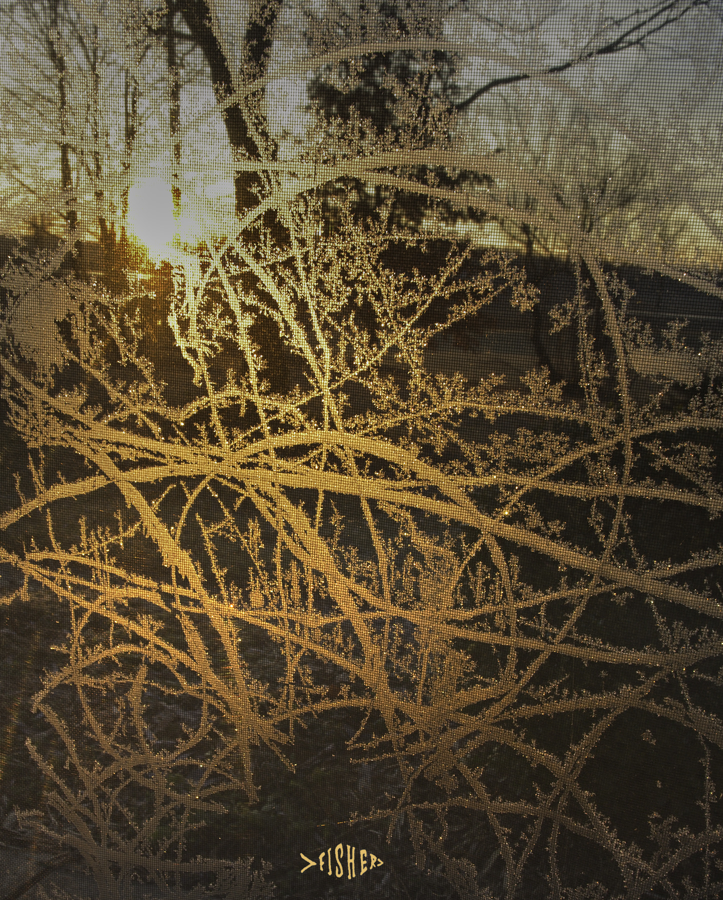 Canon EOS 760D (EOS Rebel T6s / EOS 8000D) sample photo. Sun and frost photography