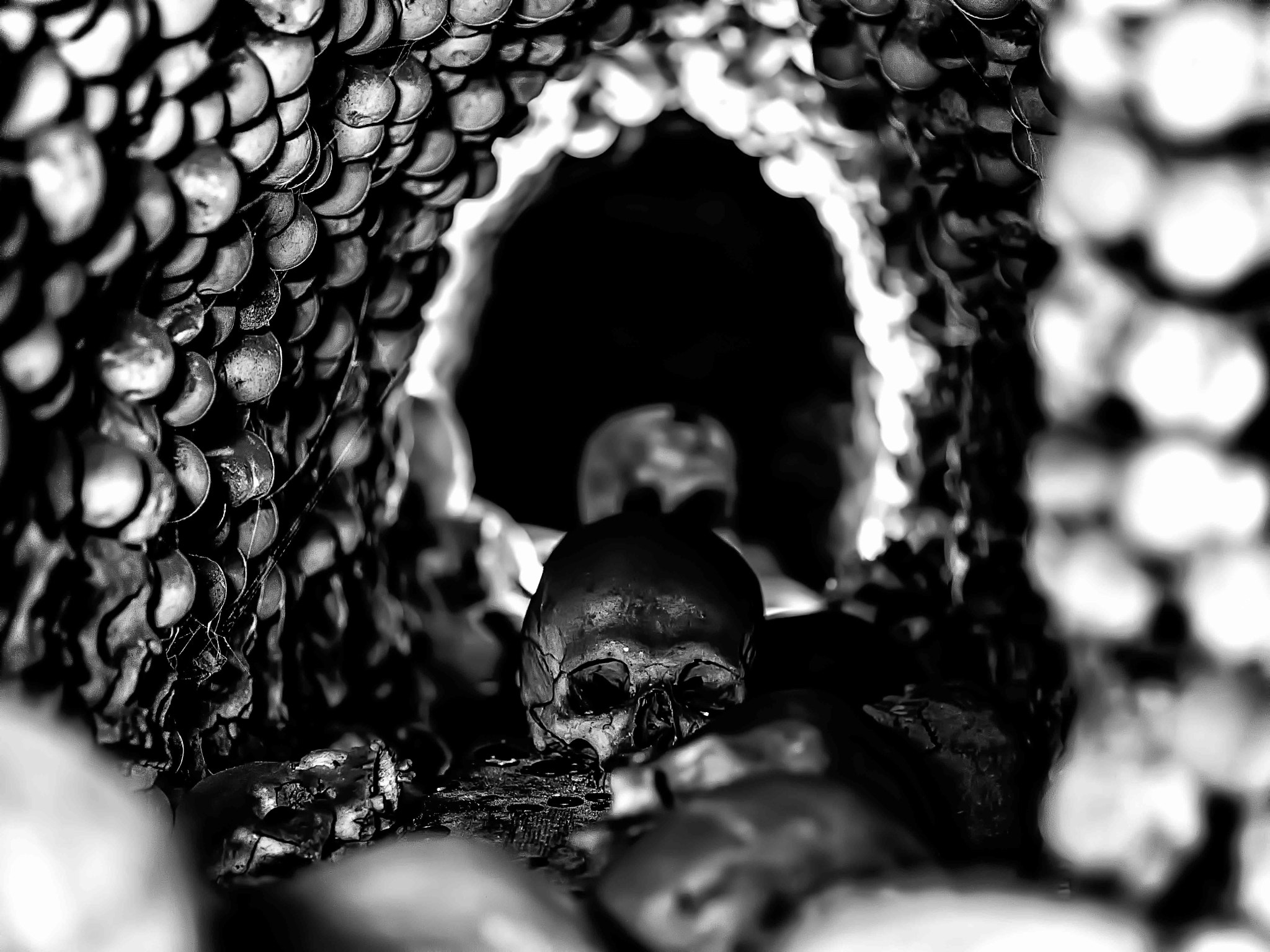 Tamron SP AF 90mm F2.8 Di Macro sample photo. Skulls and bones photography