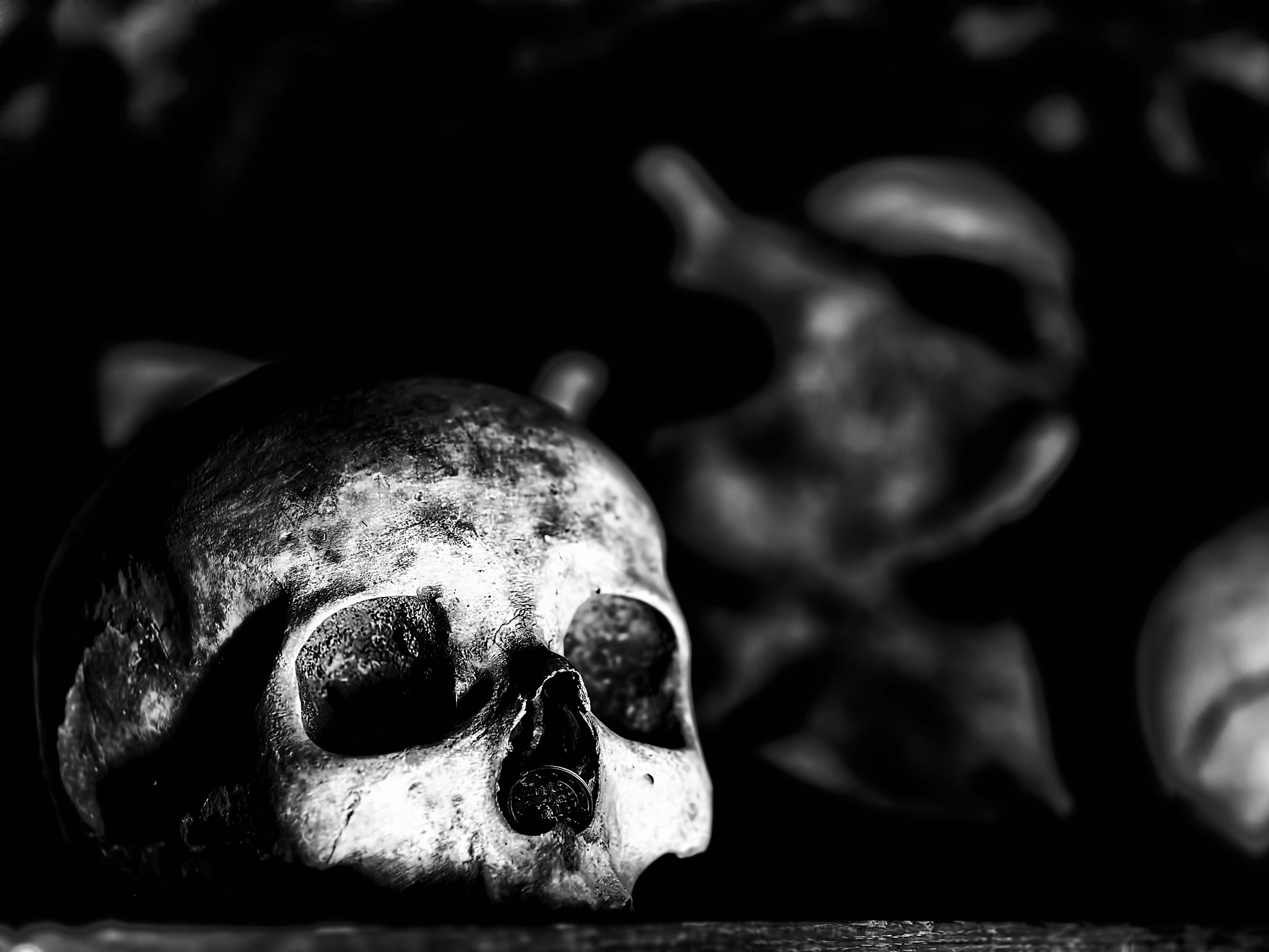 Tamron SP AF 90mm F2.8 Di Macro sample photo. Death and money photography