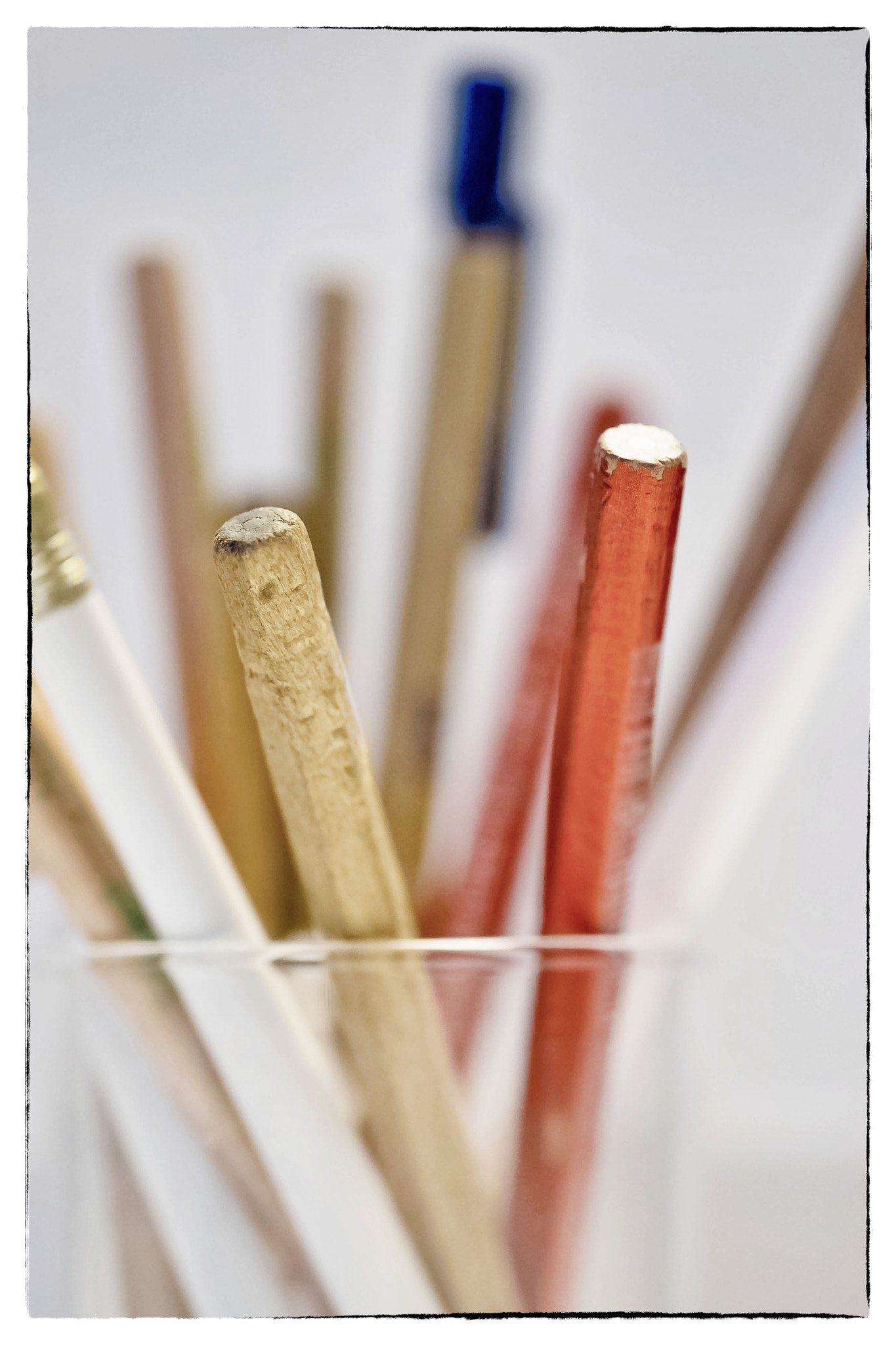 Fujifilm X-T1 + Fujifilm XF 60mm F2.4 R Macro sample photo. Week_01 rule of thirds photography