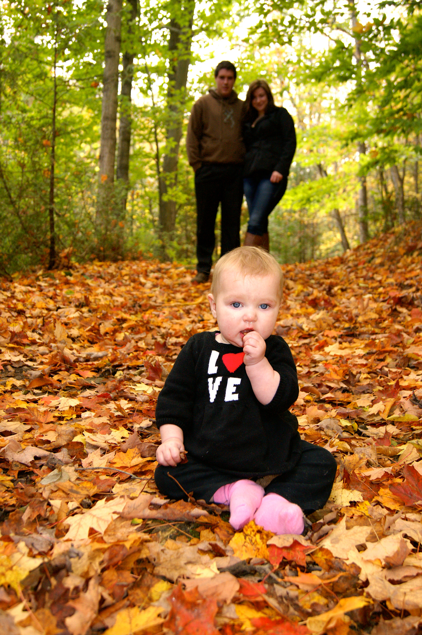 Sony Alpha DSLR-A390 sample photo. Perfect forest photography