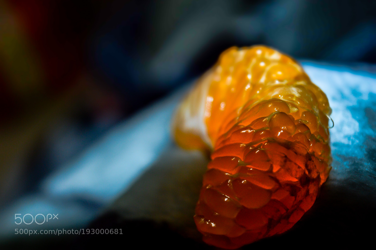 Nikon D3200 sample photo. Tangy orange photography