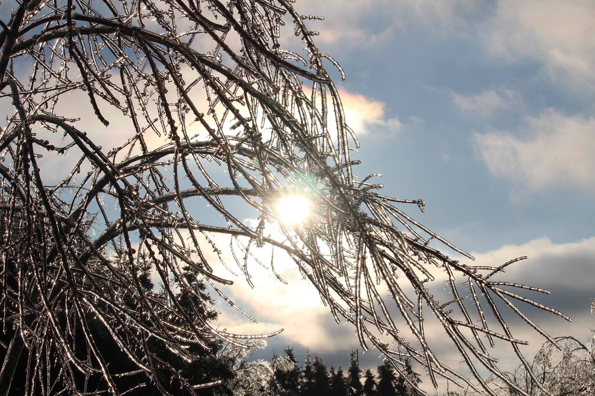 Canon EF-S 55-250mm F4-5.6 IS STM sample photo. Peaking sun photography
