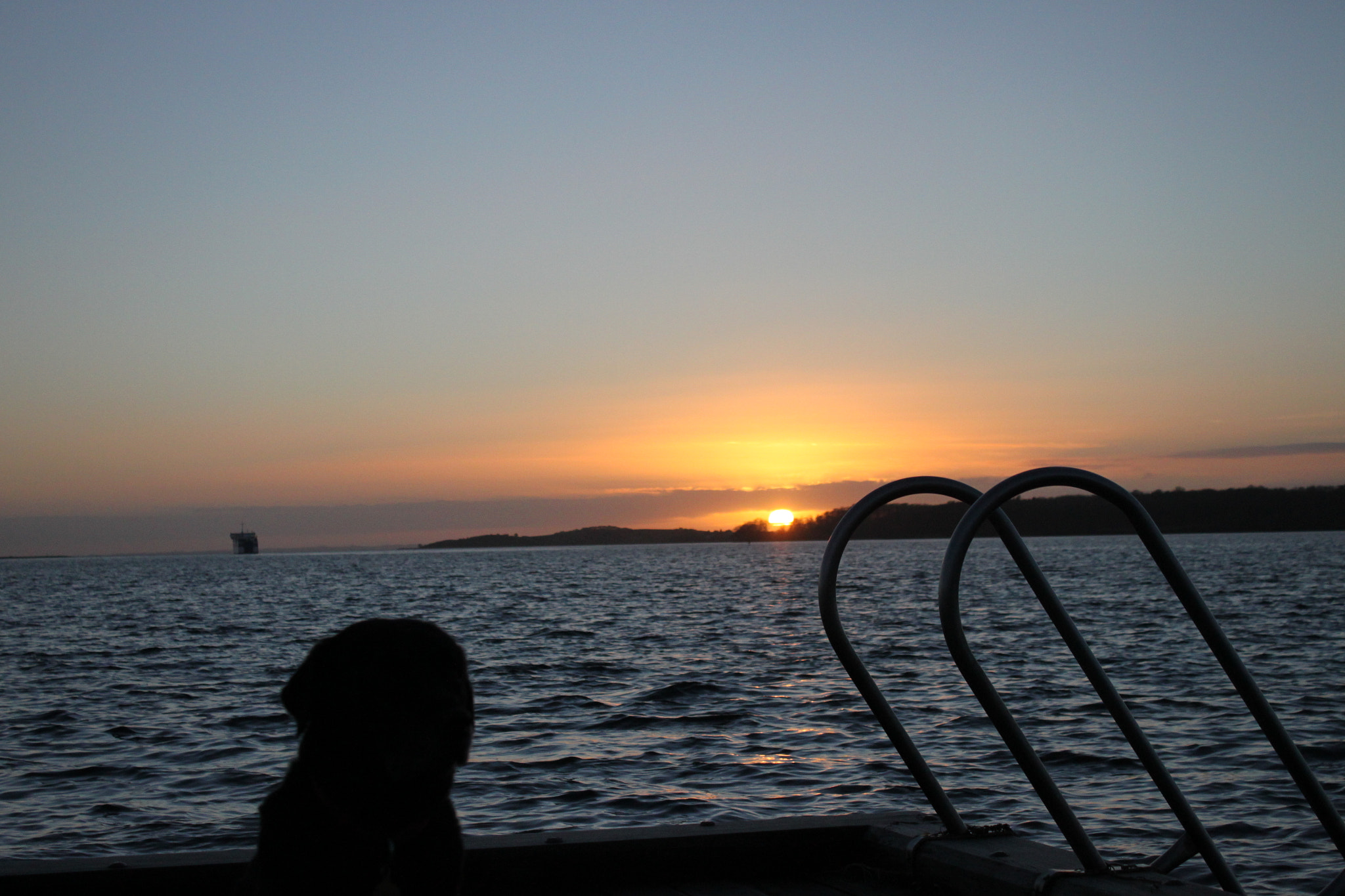 Canon EOS 500D (EOS Rebel T1i / EOS Kiss X3) sample photo. Doggy sunset. photography