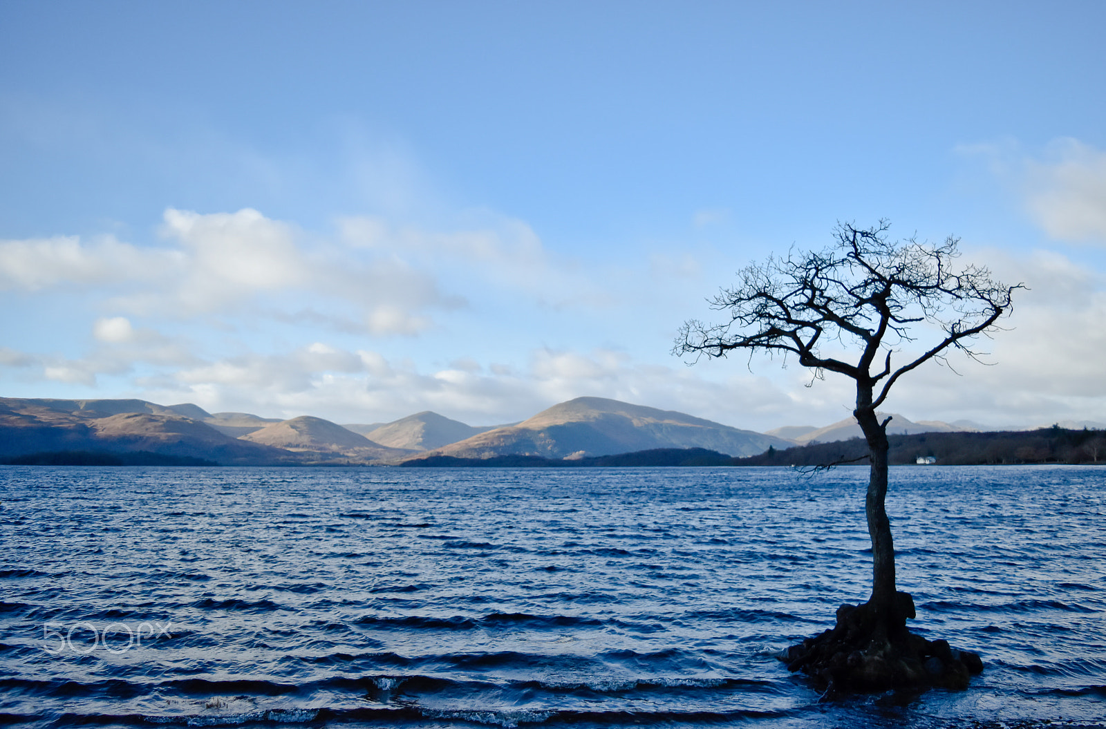 Nikon AF-S Nikkor 500mm F4D ED-IF II sample photo. Loch lommond photography