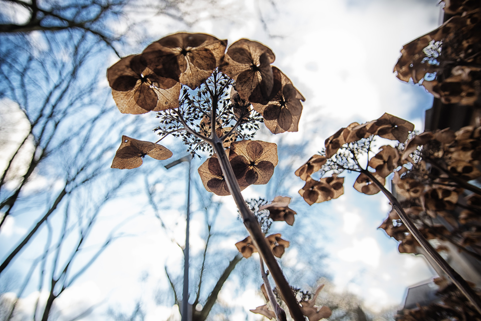 Sigma 17-35mm F2.8-4 EX DG  Aspherical HSM sample photo. Sunny minute on a stormy winters day - 1 photography