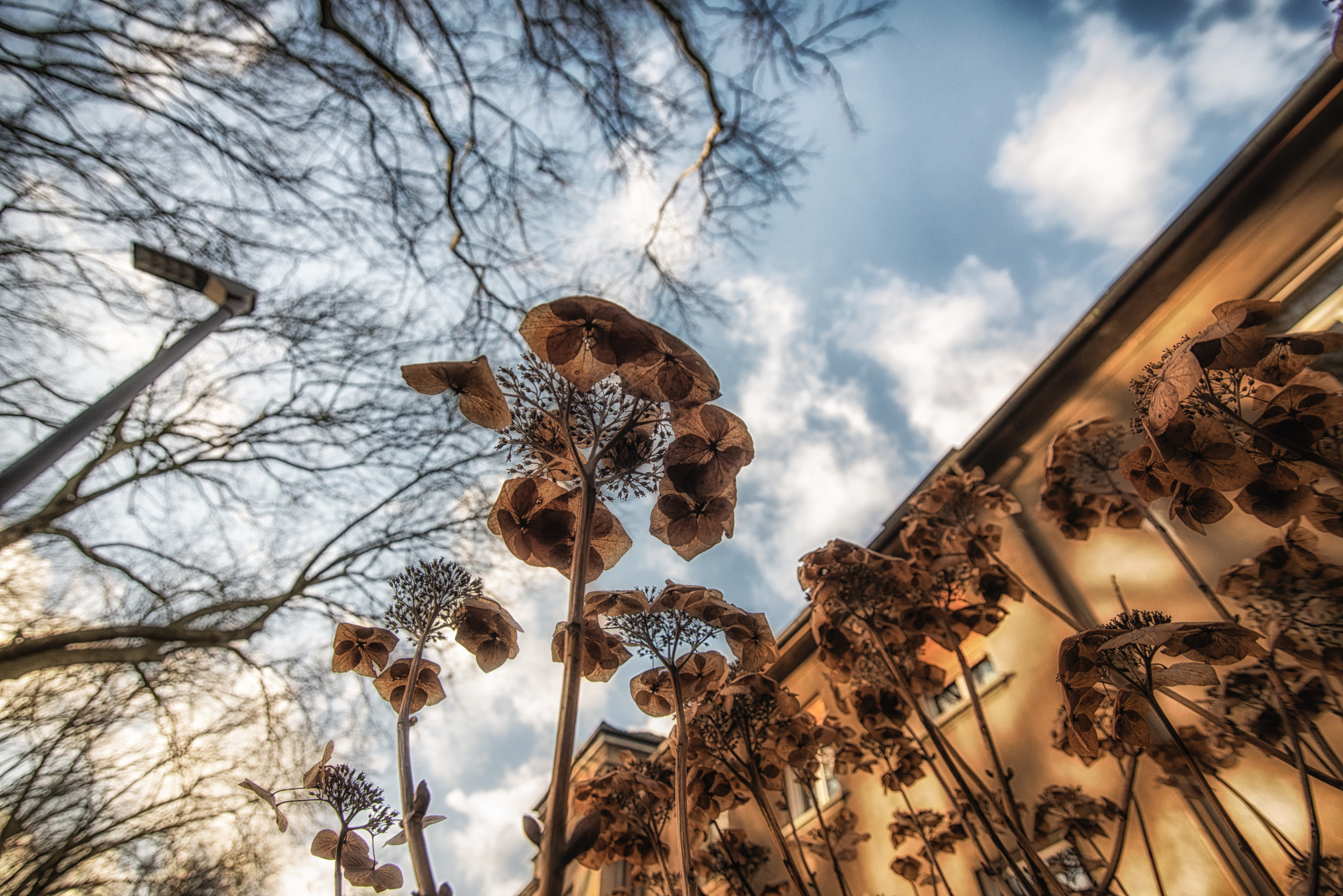 Sigma 17-35mm F2.8-4 EX DG  Aspherical HSM sample photo. Sunny minute on a stormy winters day - 2 photography