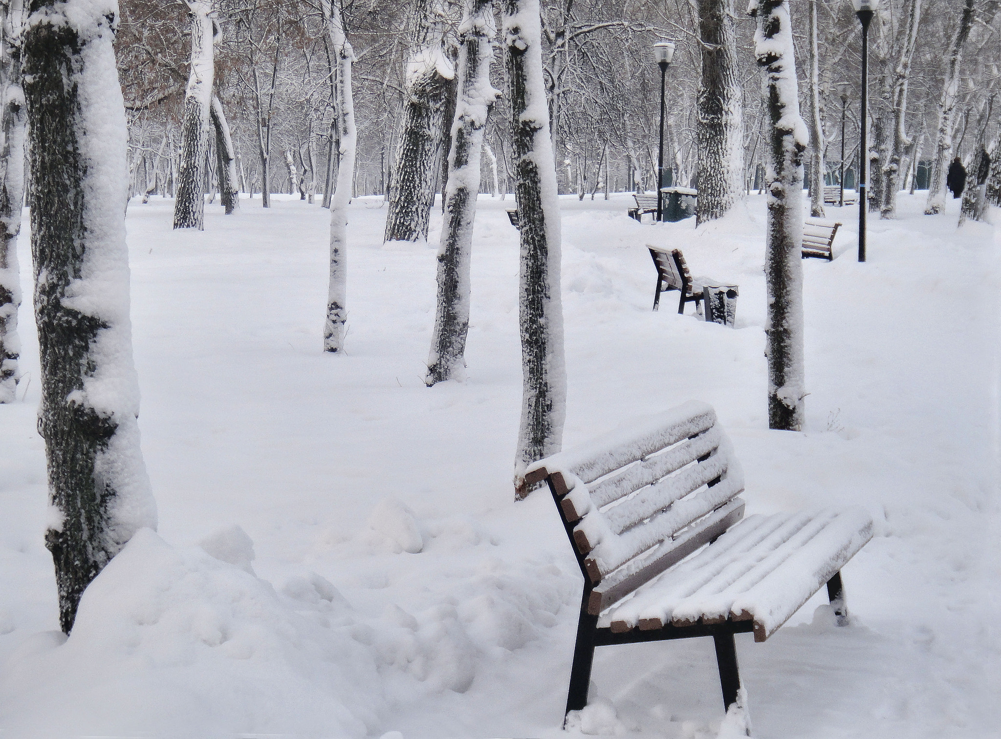 Sony DSC-TX9 sample photo. Standing lonely empty benches... photography