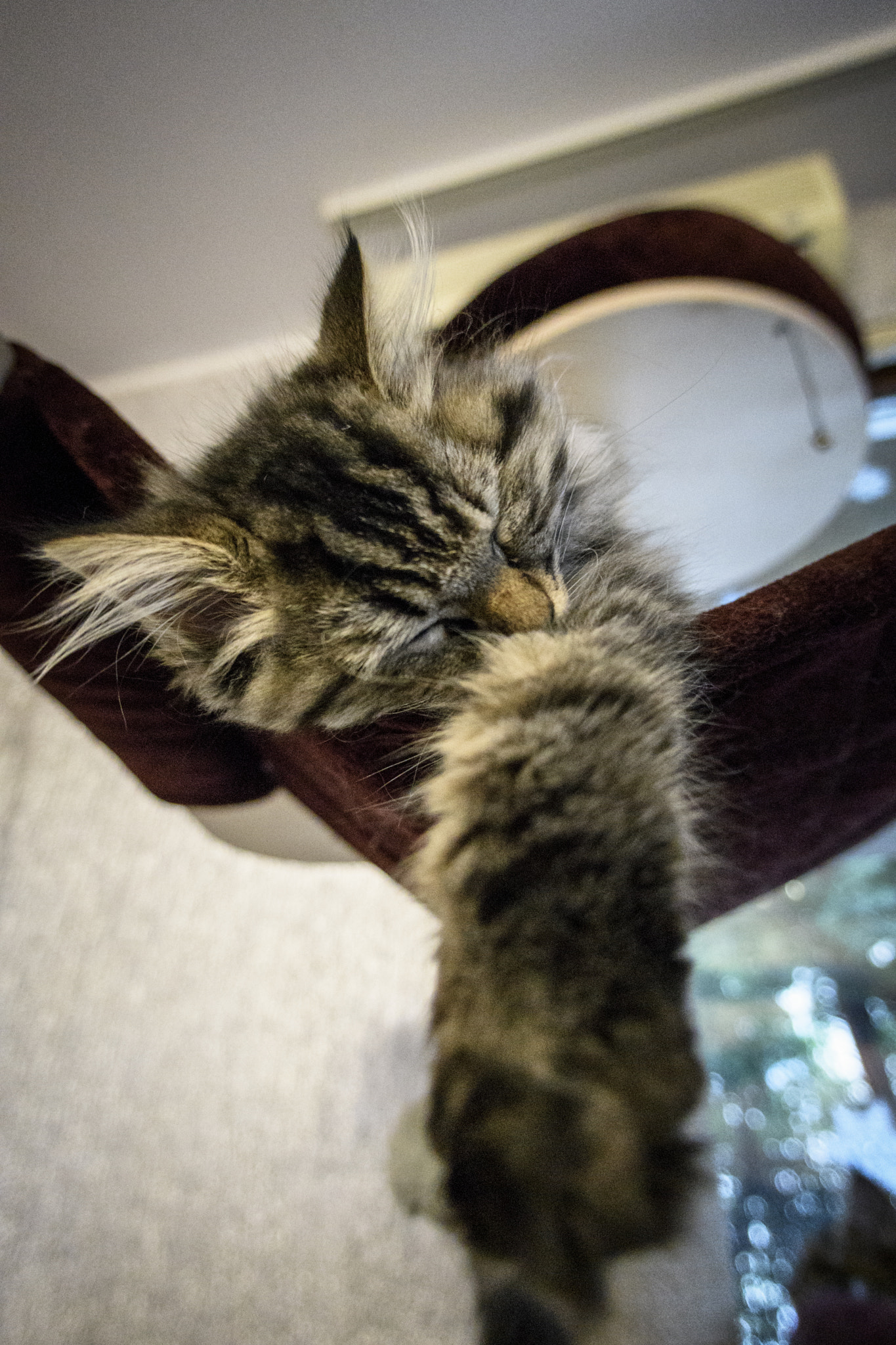 Sigma 15mm F2.8 EX DG Diagonal Fisheye sample photo. 130117-591_1.jpg photography