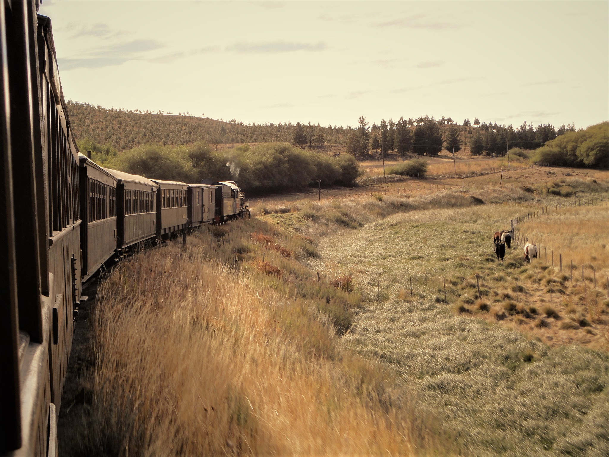 Sony Cyber-shot DSC-W350 sample photo. La trochita - patagonia express - esquel,chubut,ar photography