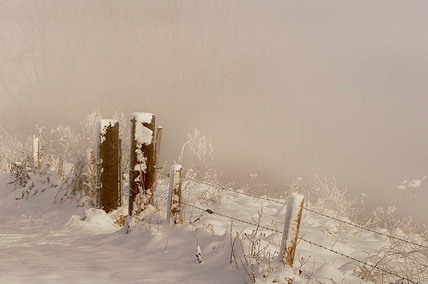 Nikon D70 sample photo. Little snow world photography