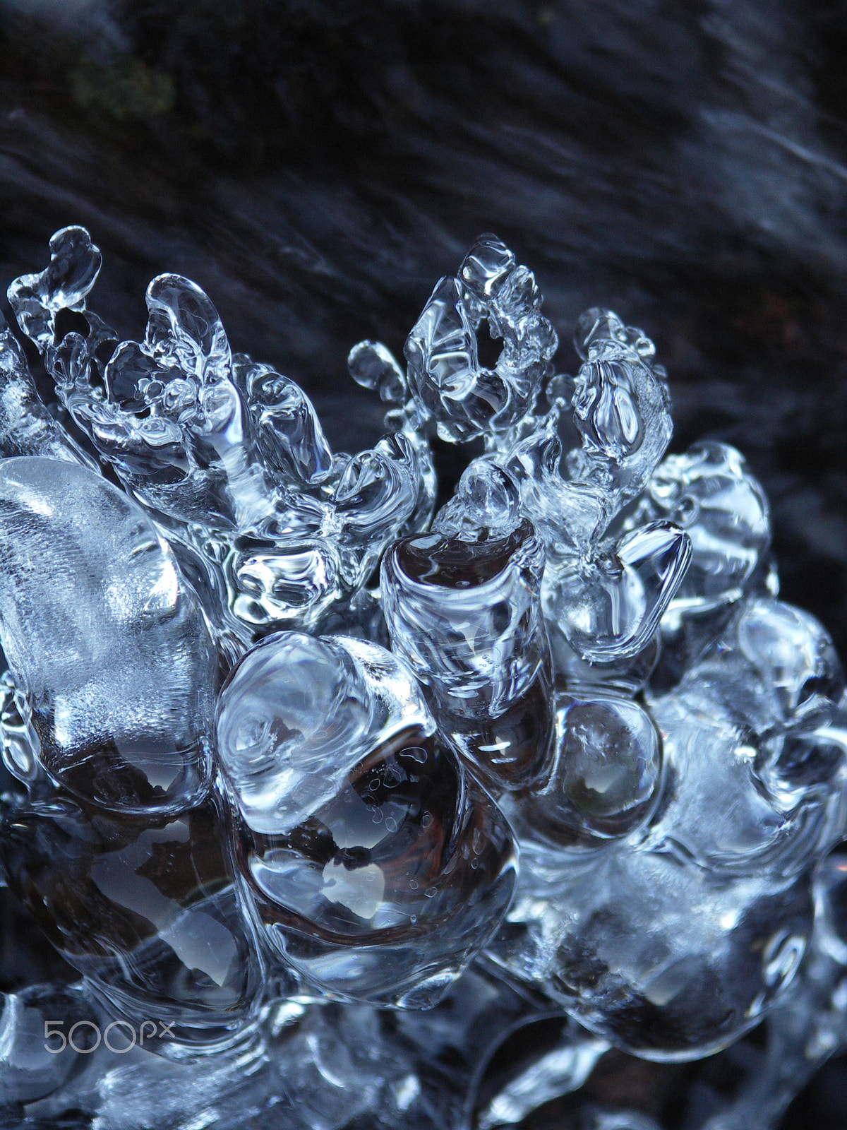 KONICA MINOLTA DiMAGE A200 sample photo. Frozen photography