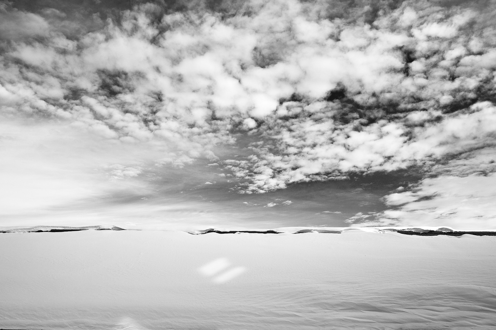 Sigma DP1 sample photo. Cotton candy photography