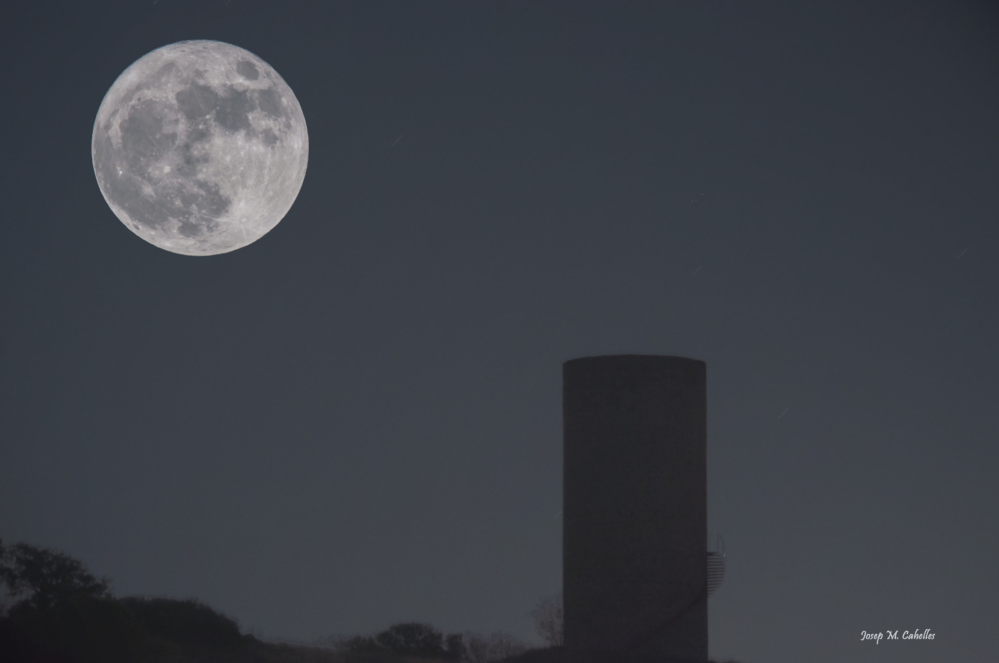 Sigma 150-500mm F5-6.3 DG OS HSM sample photo. Lluna pilar photography