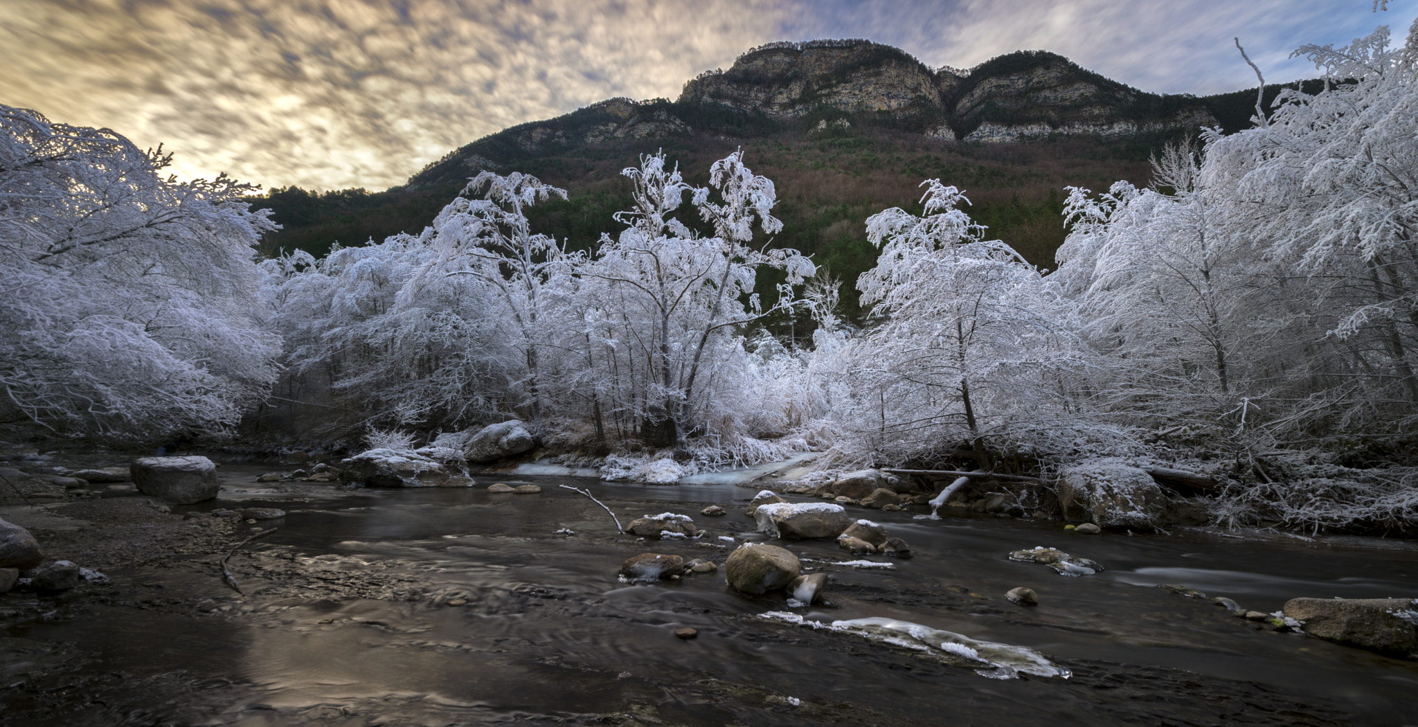 Nikon AF-S Nikkor 16-35mm F4G ED VR sample photo. Frost zone photography