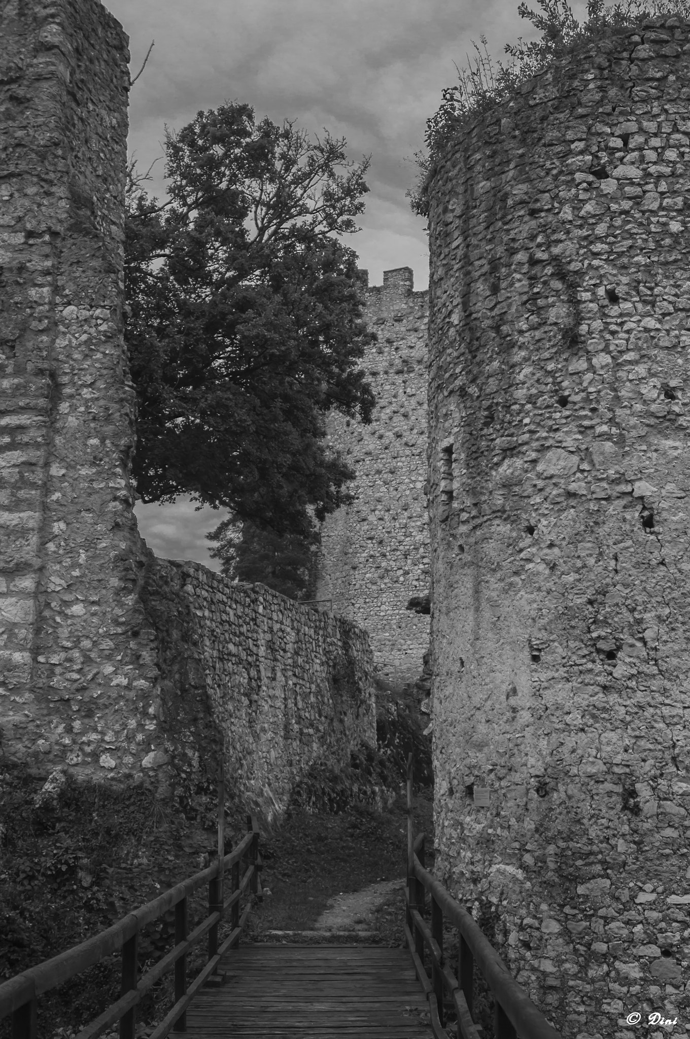 Nikon AF-S Nikkor 28-70mm F2.8 ED-IF sample photo. Ruine hexenturm photography
