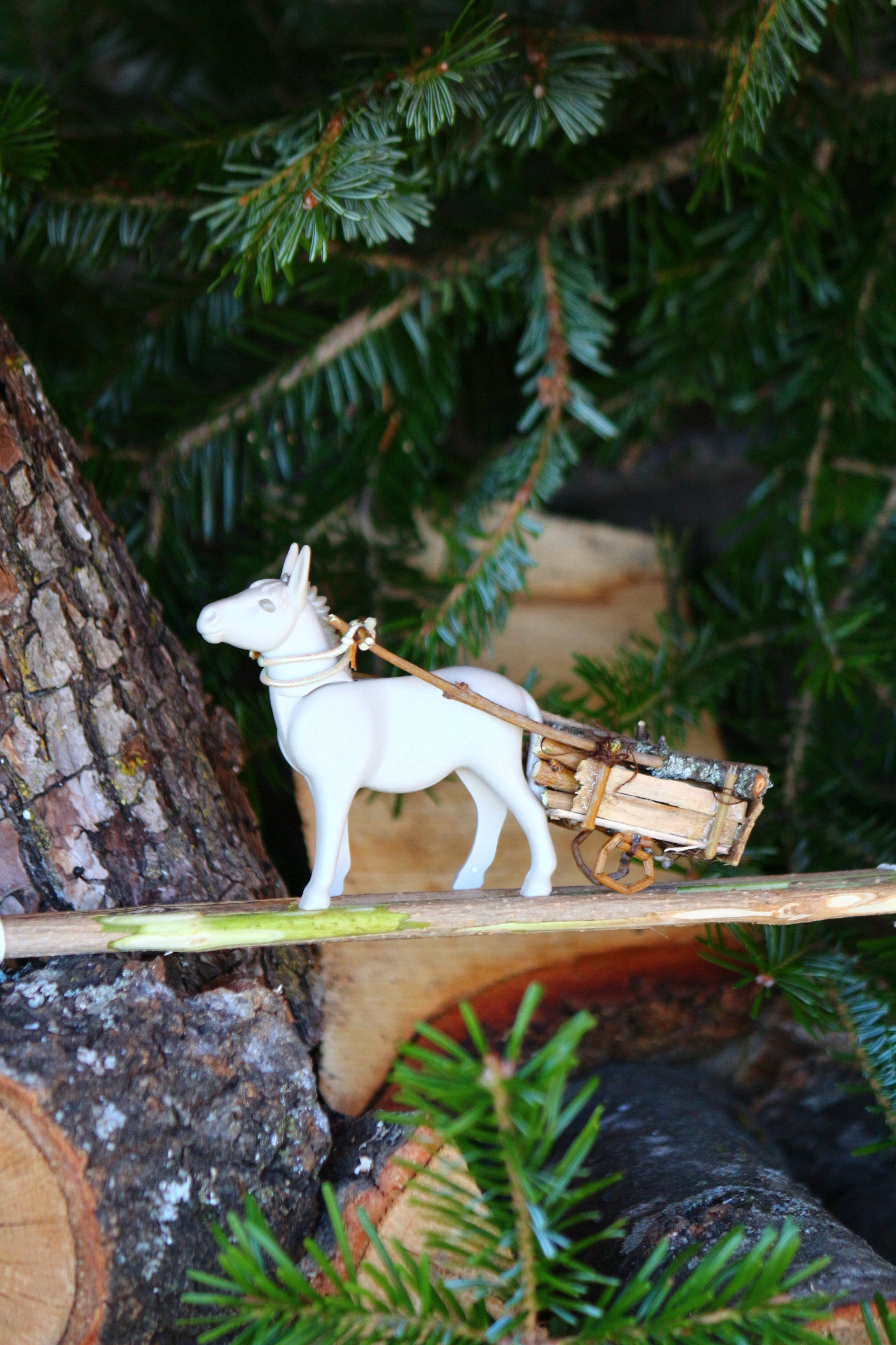 Canon EF-S 55-250mm F4-5.6 IS II sample photo. Donkey with cart - toy photography