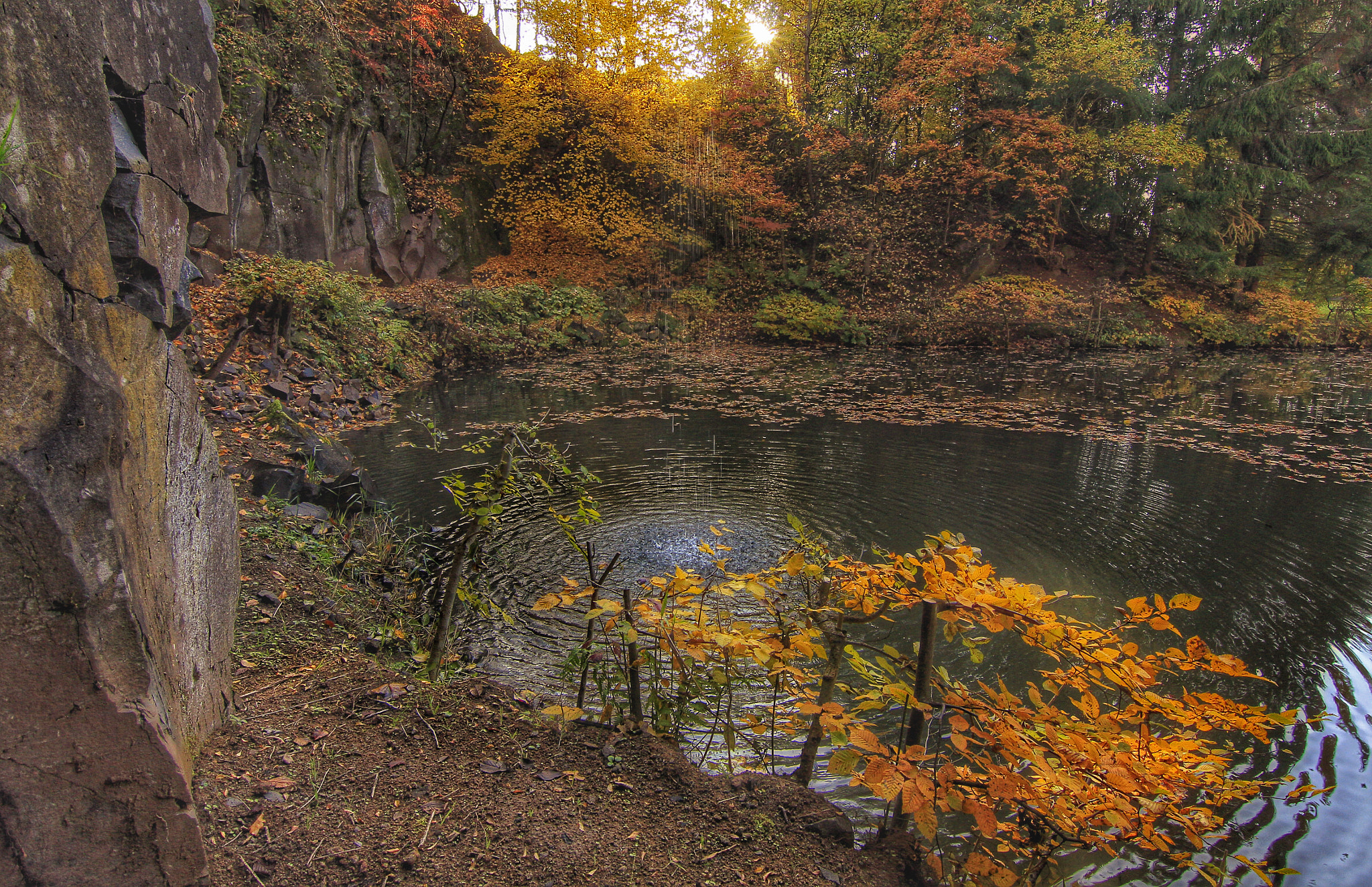 v2?sig=cba031e13e42c4df083b77238ce917ce5