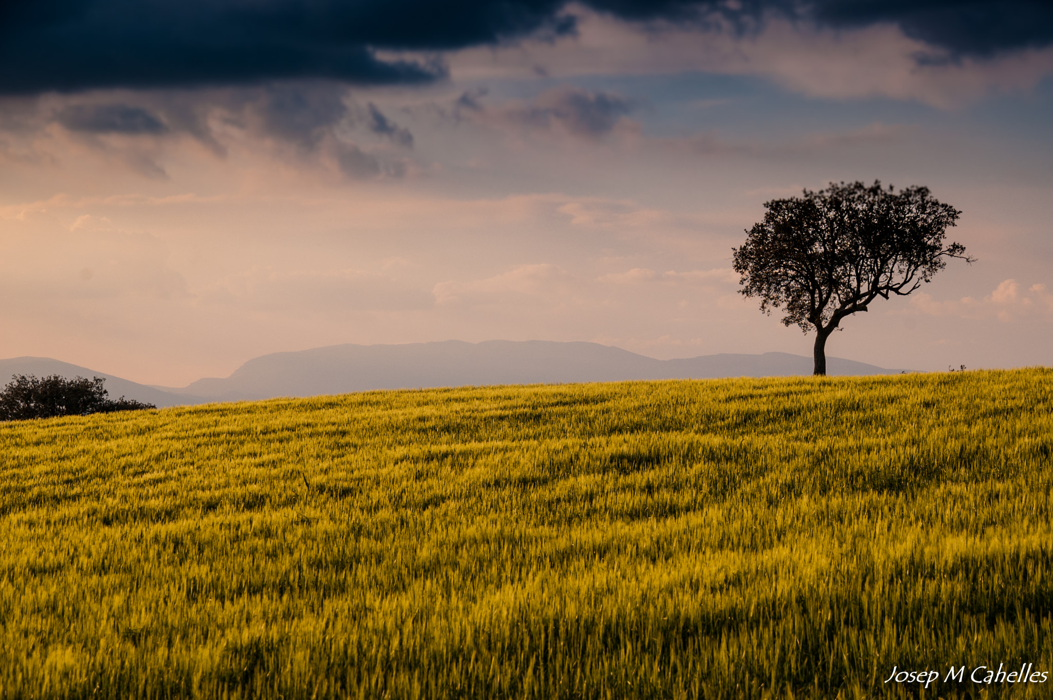 Nikon D70 + Sigma 18-200mm F3.5-6.3 DC sample photo. Ametller solitari photography