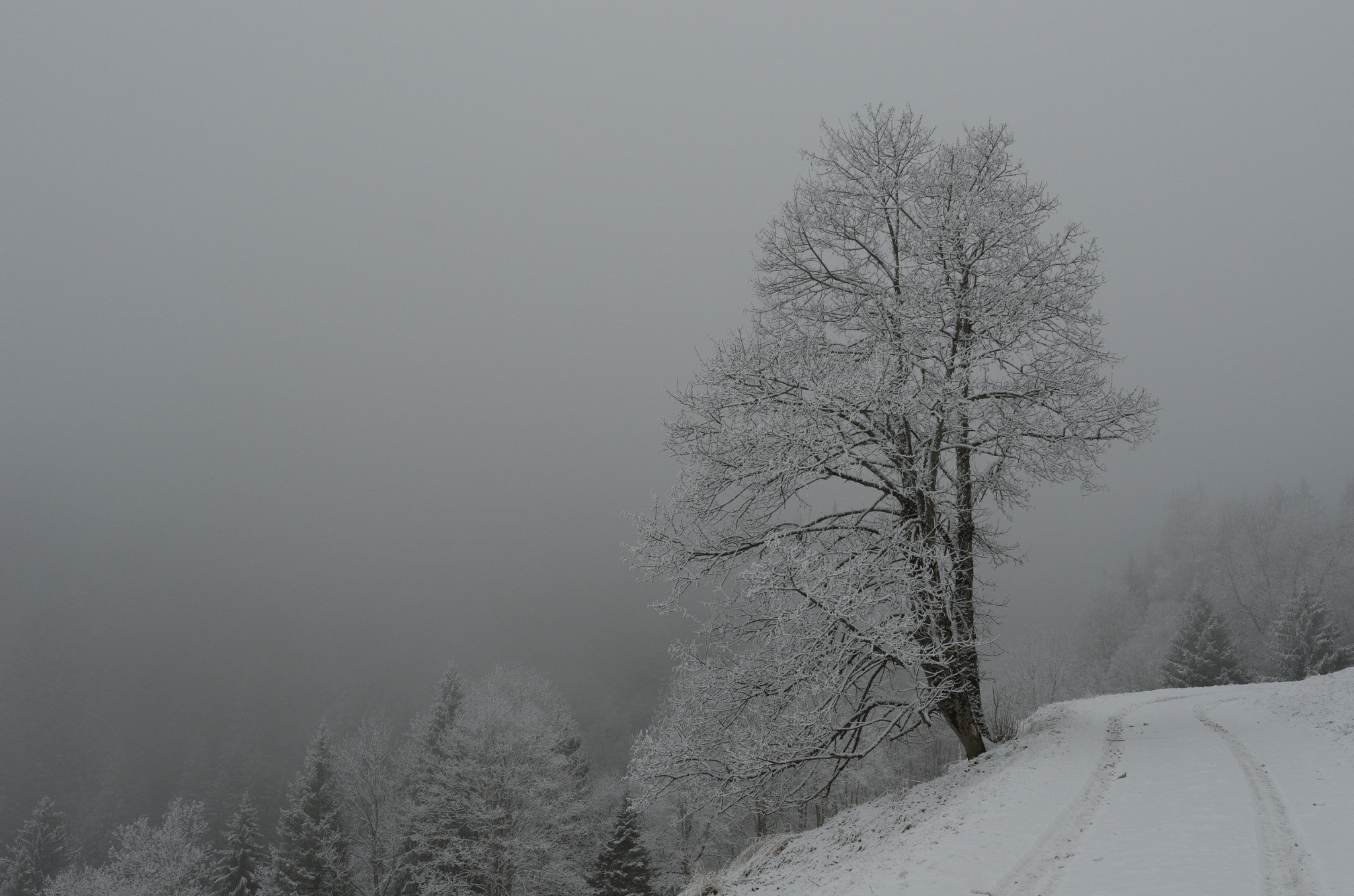 Nikon AF-S Nikkor 24mm F1.8G ED sample photo. Colombaz, les contamines de montjoie photography