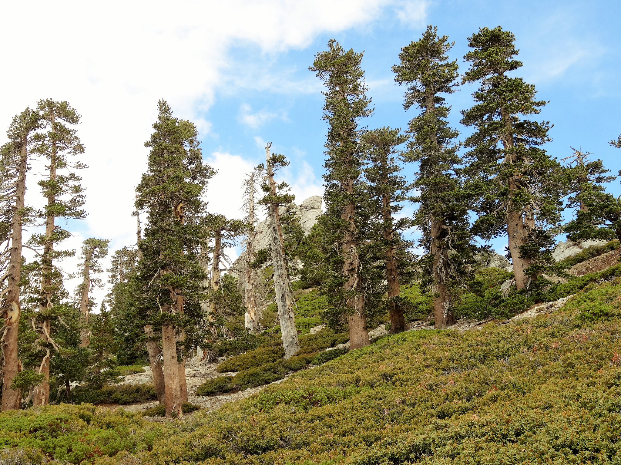 Sony Cyber-shot DSC-HX30V sample photo. Hiking mt san antonio "baldy" photography