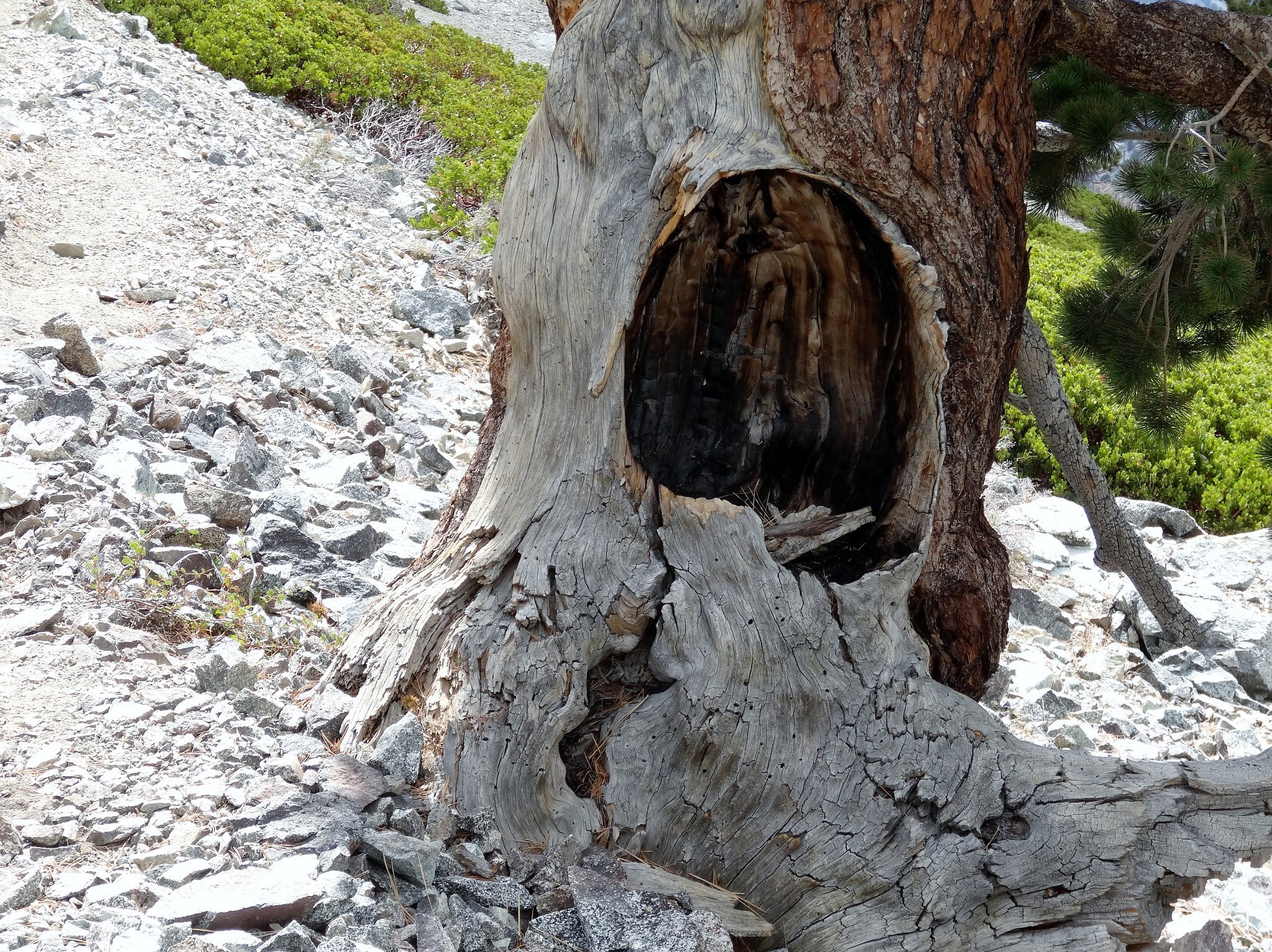 Sony Cyber-shot DSC-HX30V sample photo. Hiking mt san antonio "baldy" photography