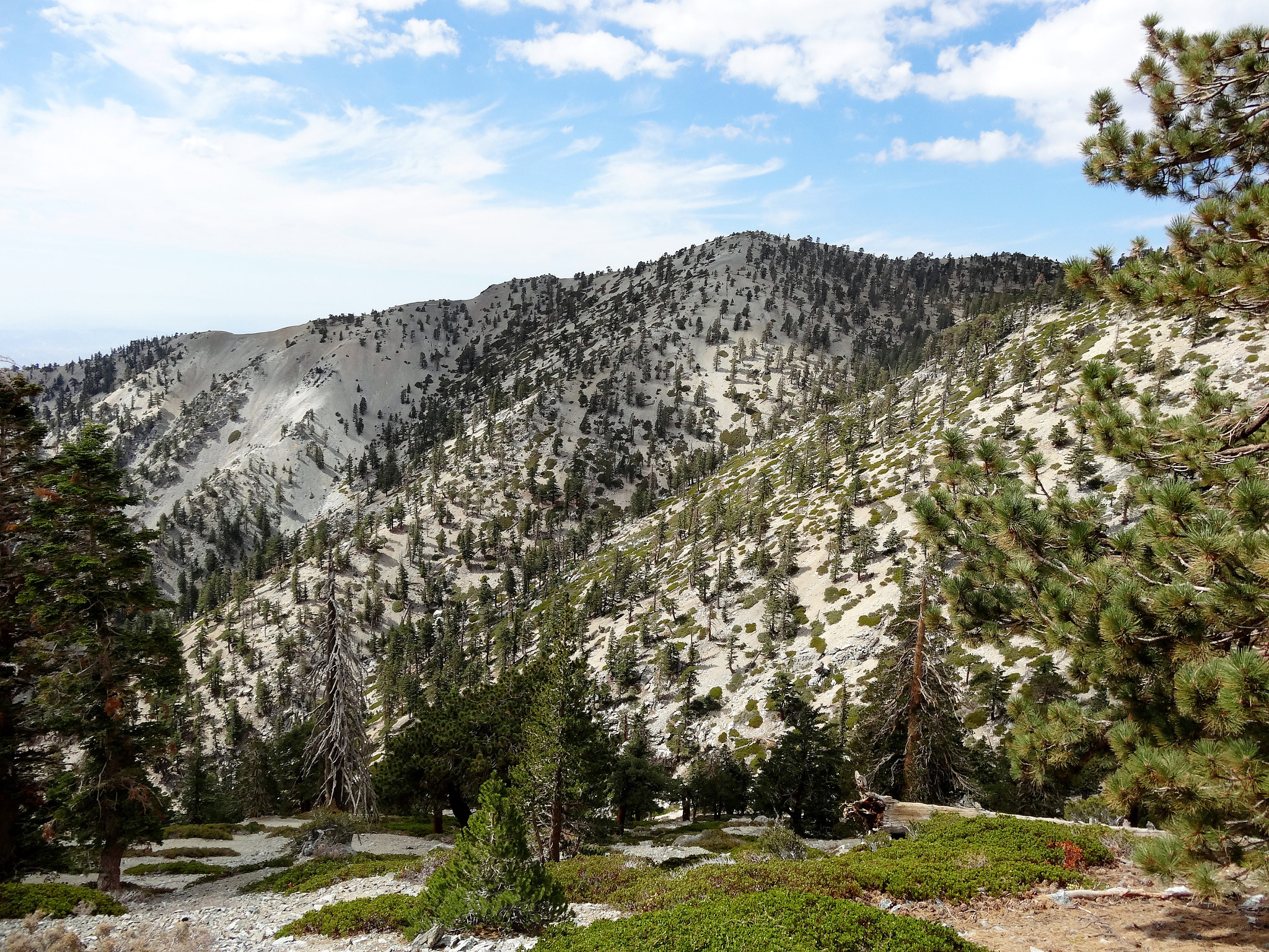 Sony Cyber-shot DSC-HX30V sample photo. Hiking mt san antonio "baldy" photography