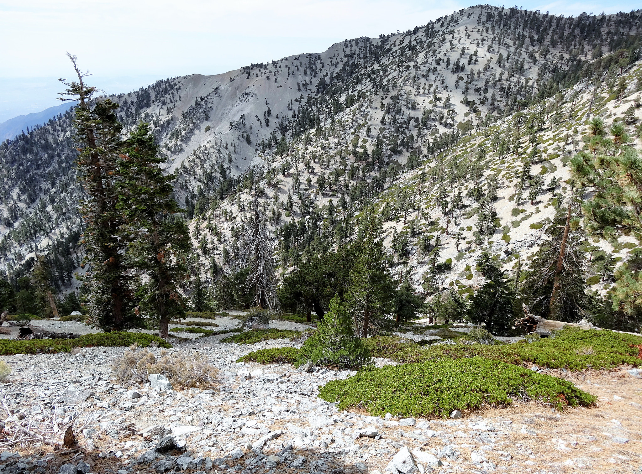 Sony Cyber-shot DSC-HX30V sample photo. Hiking mt san antonio "baldy" photography