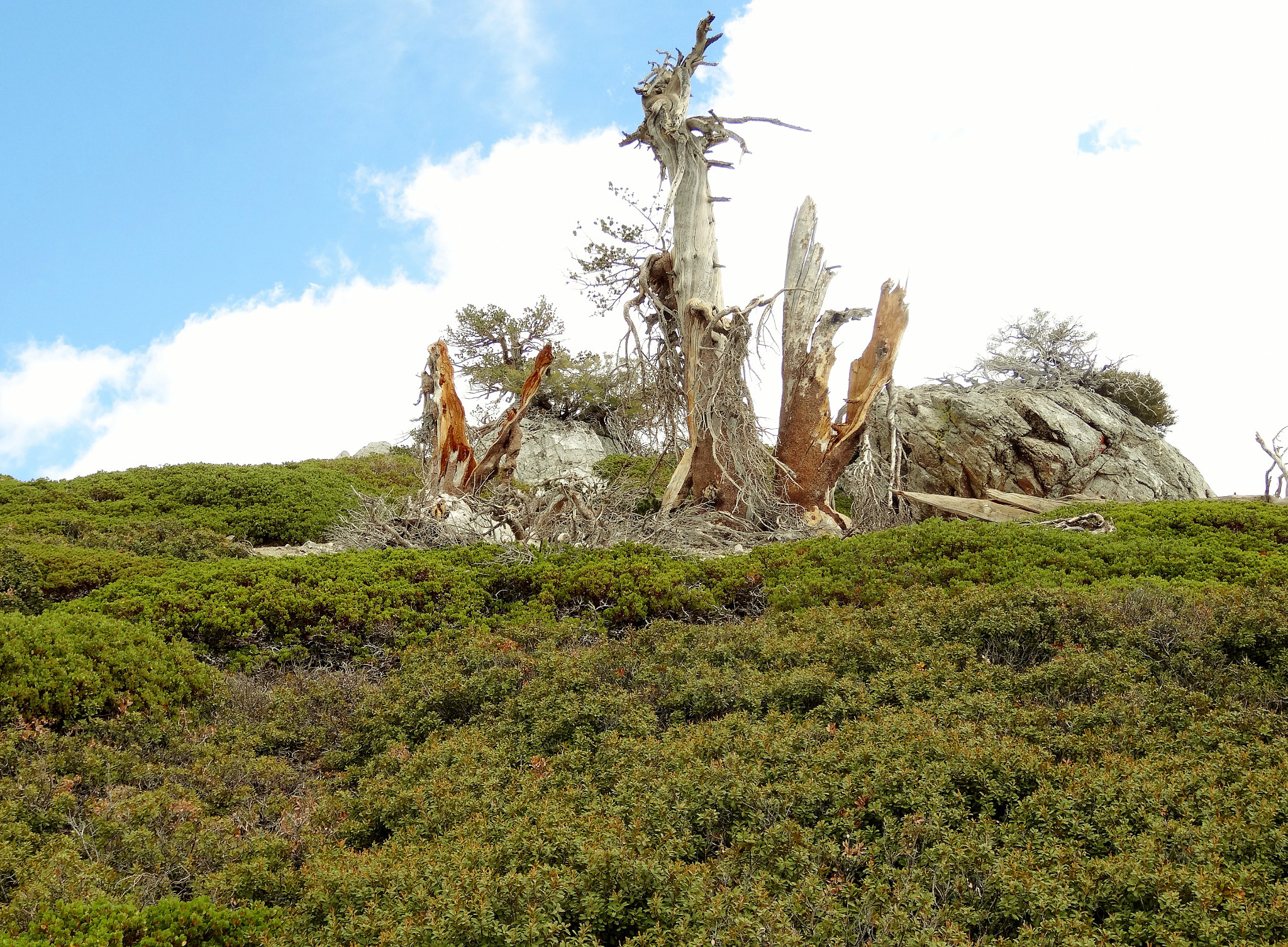 Sony Cyber-shot DSC-HX30V sample photo. Hiking mt san antonio "baldy" photography