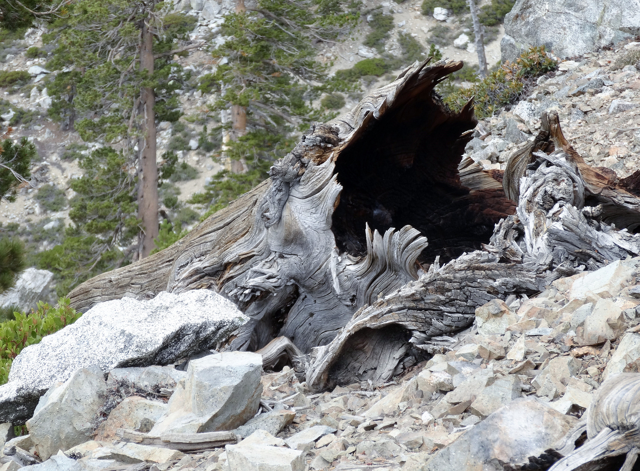 Sony Cyber-shot DSC-HX30V sample photo. Hiking mt san antonio "baldy" photography