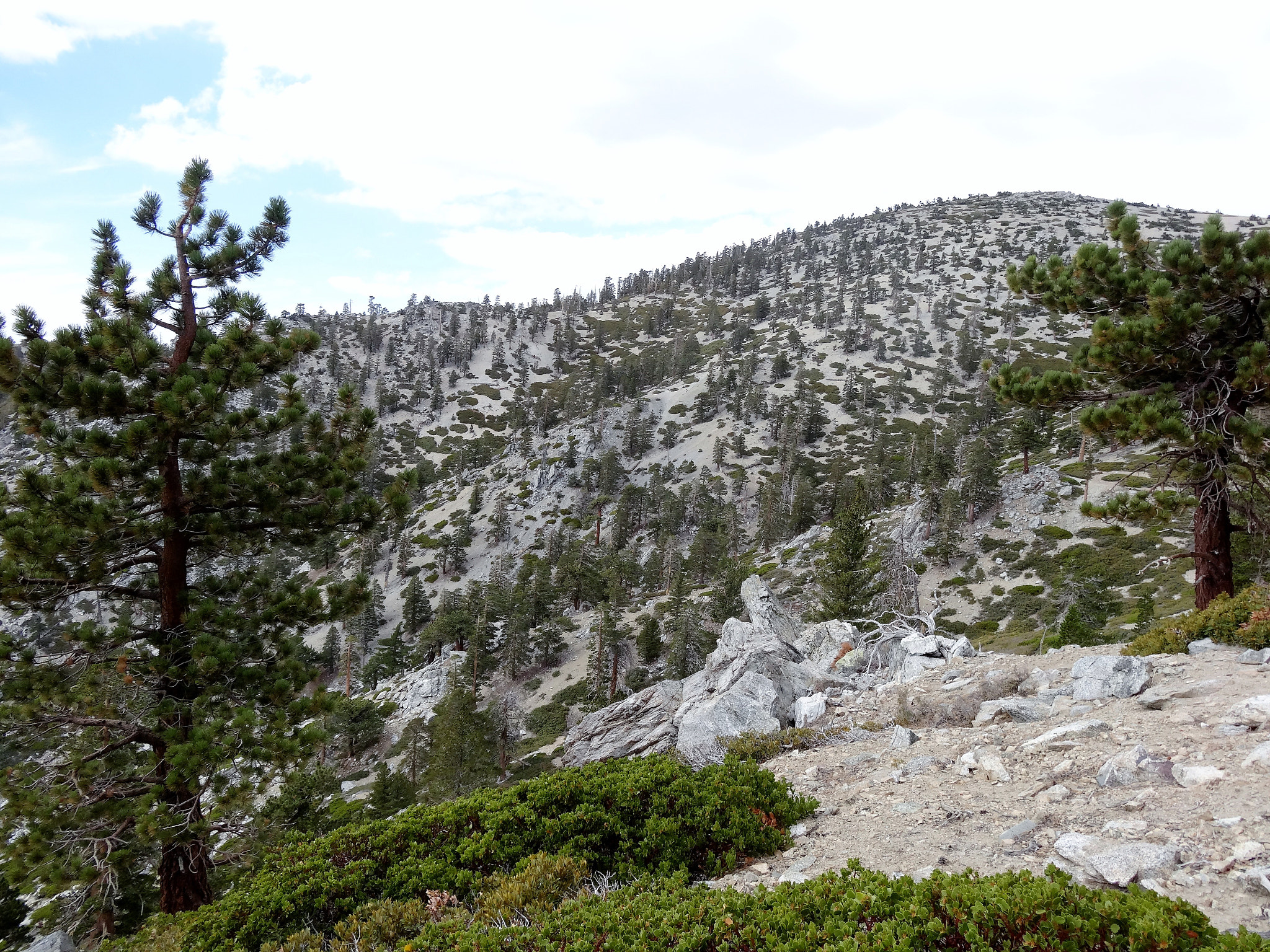 Sony Cyber-shot DSC-HX30V sample photo. Hiking mt san antonio "baldy" photography