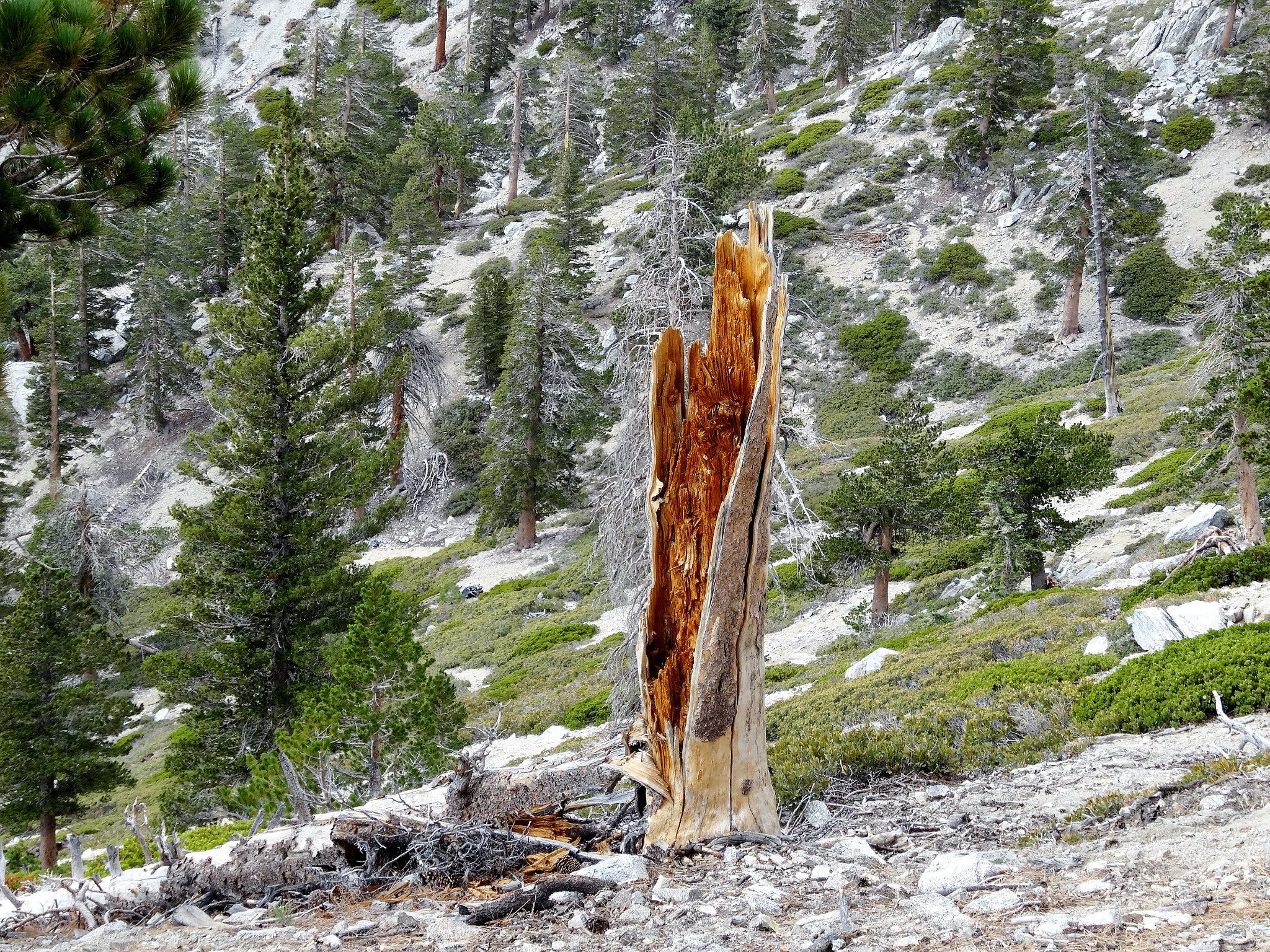 Sony Cyber-shot DSC-HX30V sample photo. Hiking mt san antonio "baldy" photography