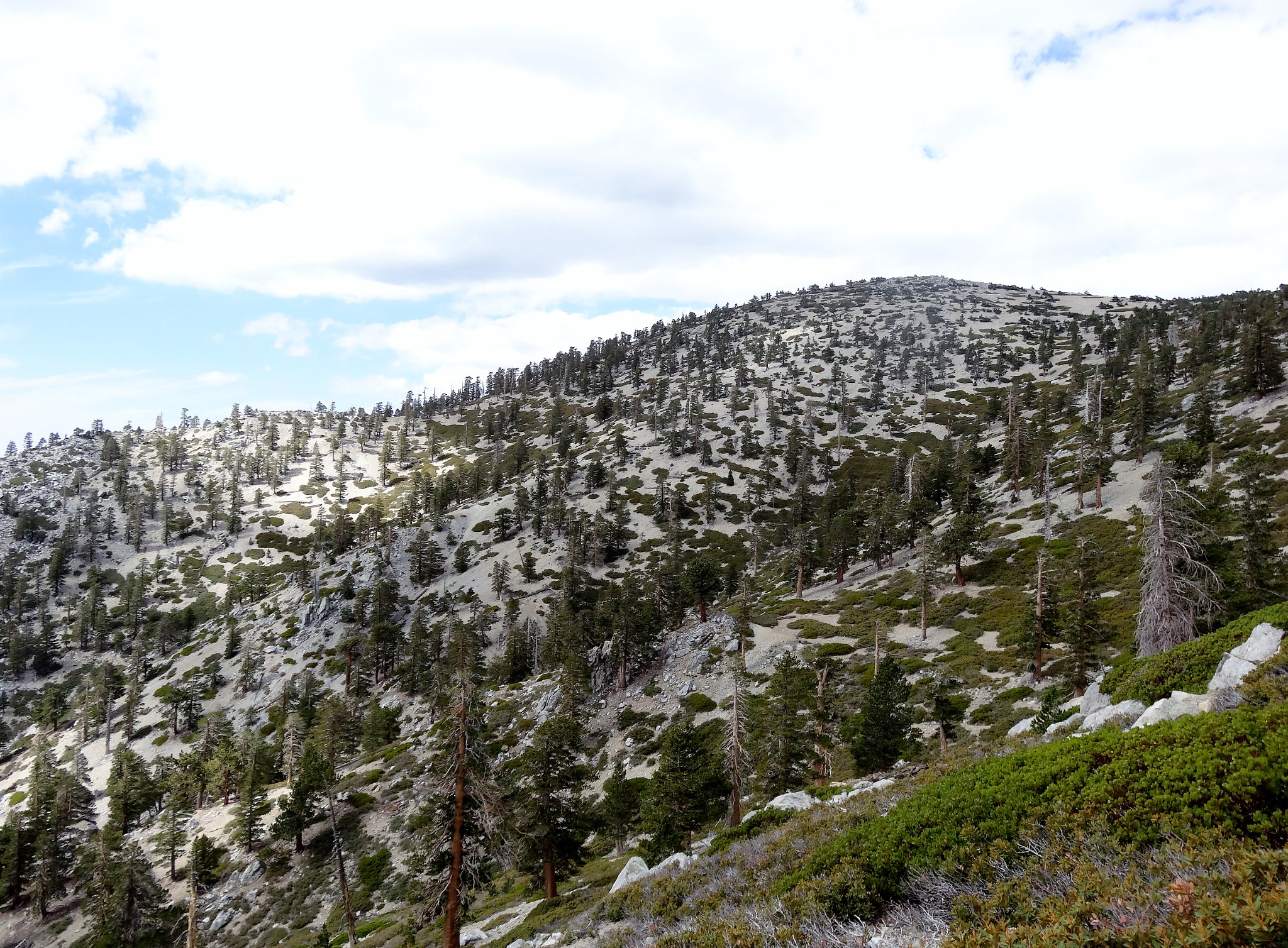 Sony Cyber-shot DSC-HX30V sample photo. Hiking mt san antonio "baldy" photography