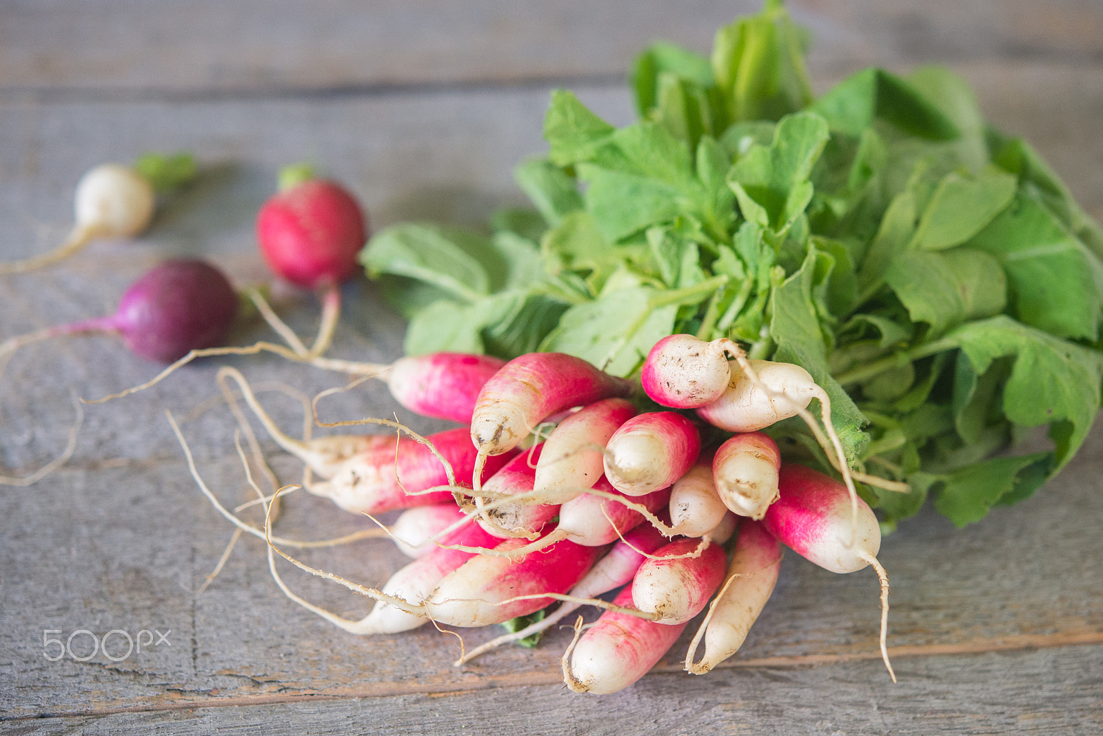 Nikon AF-S Micro-Nikkor 60mm F2.8G ED sample photo. Radishes photography